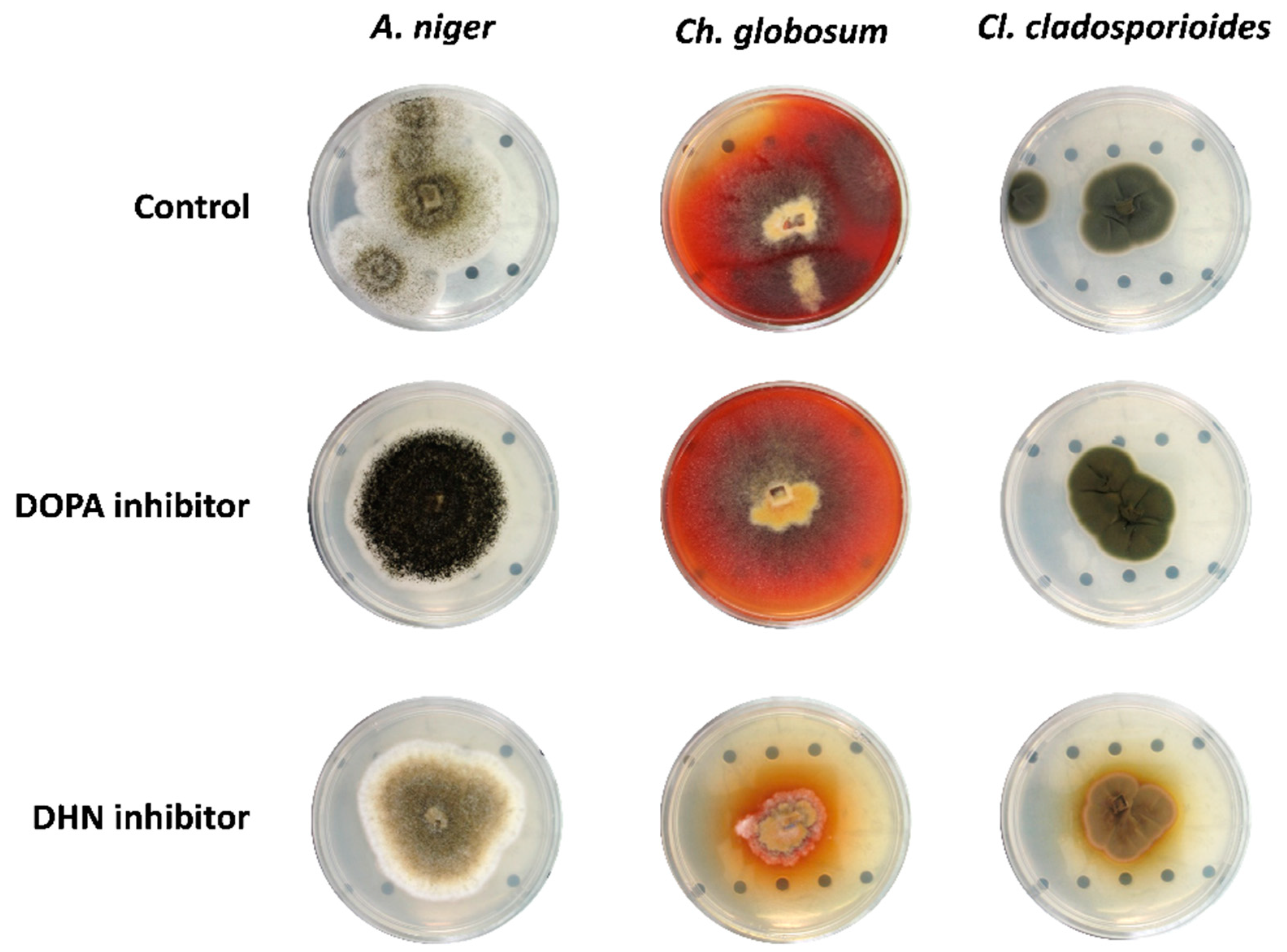 Heritage 05 00158 g001 Heritage 05 00158 g001