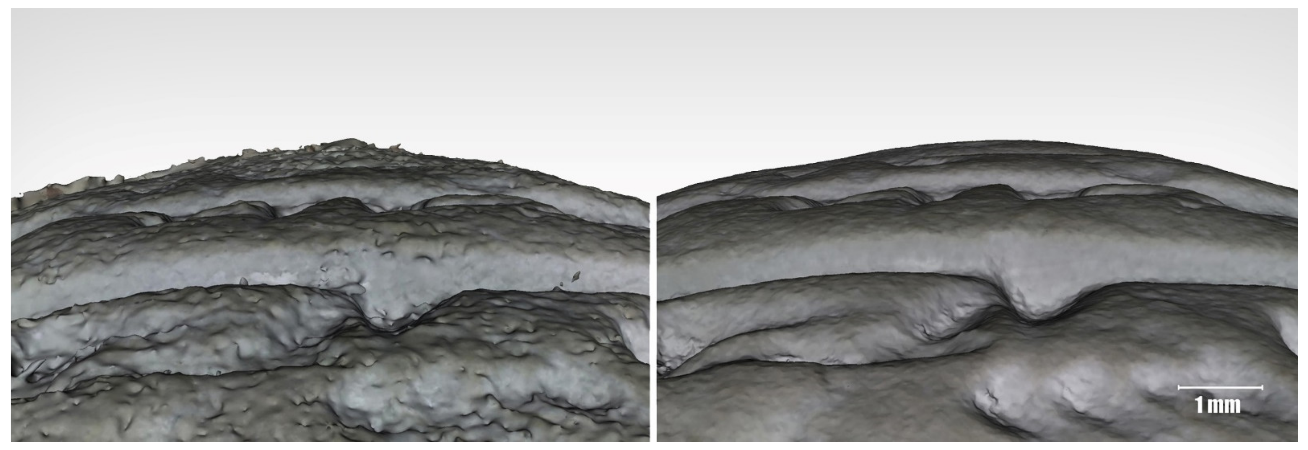 Heritage 05 00162 g018 Heritage 05 00162 g018