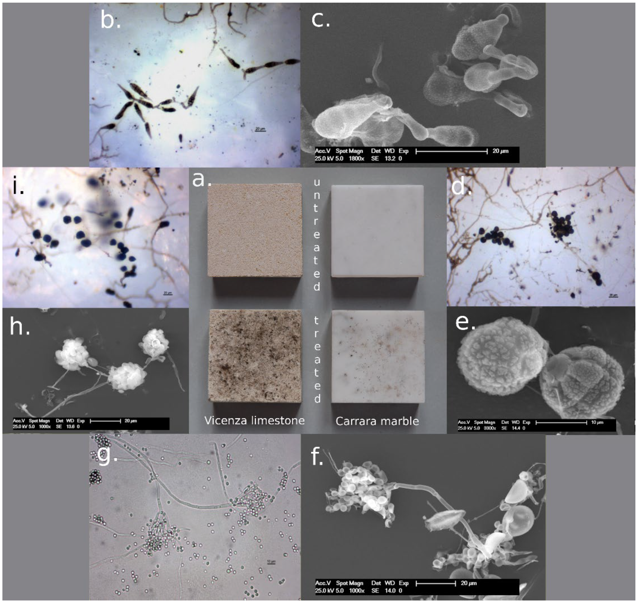 Heritage 05 00168 g007 Heritage 05 00168 g007