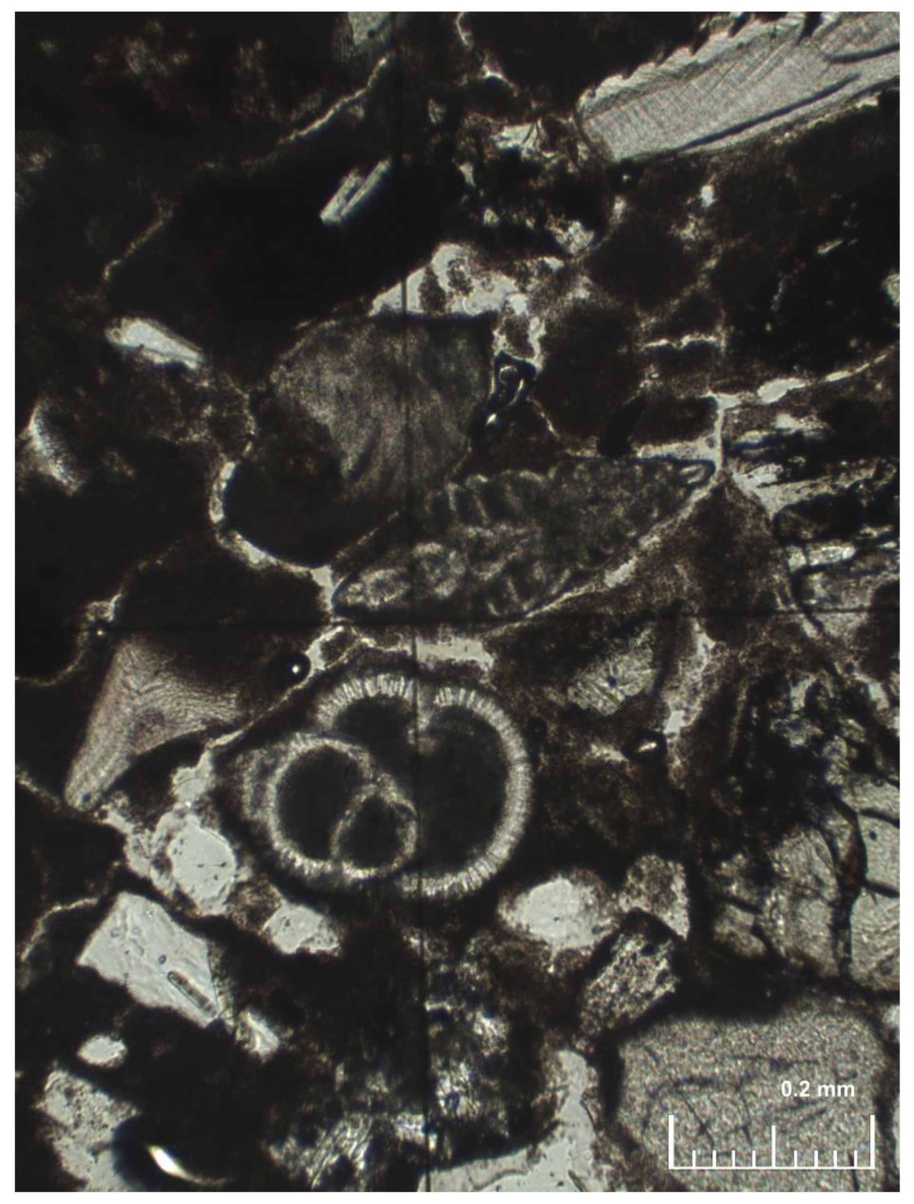 Heritage 05 00170 g004 550