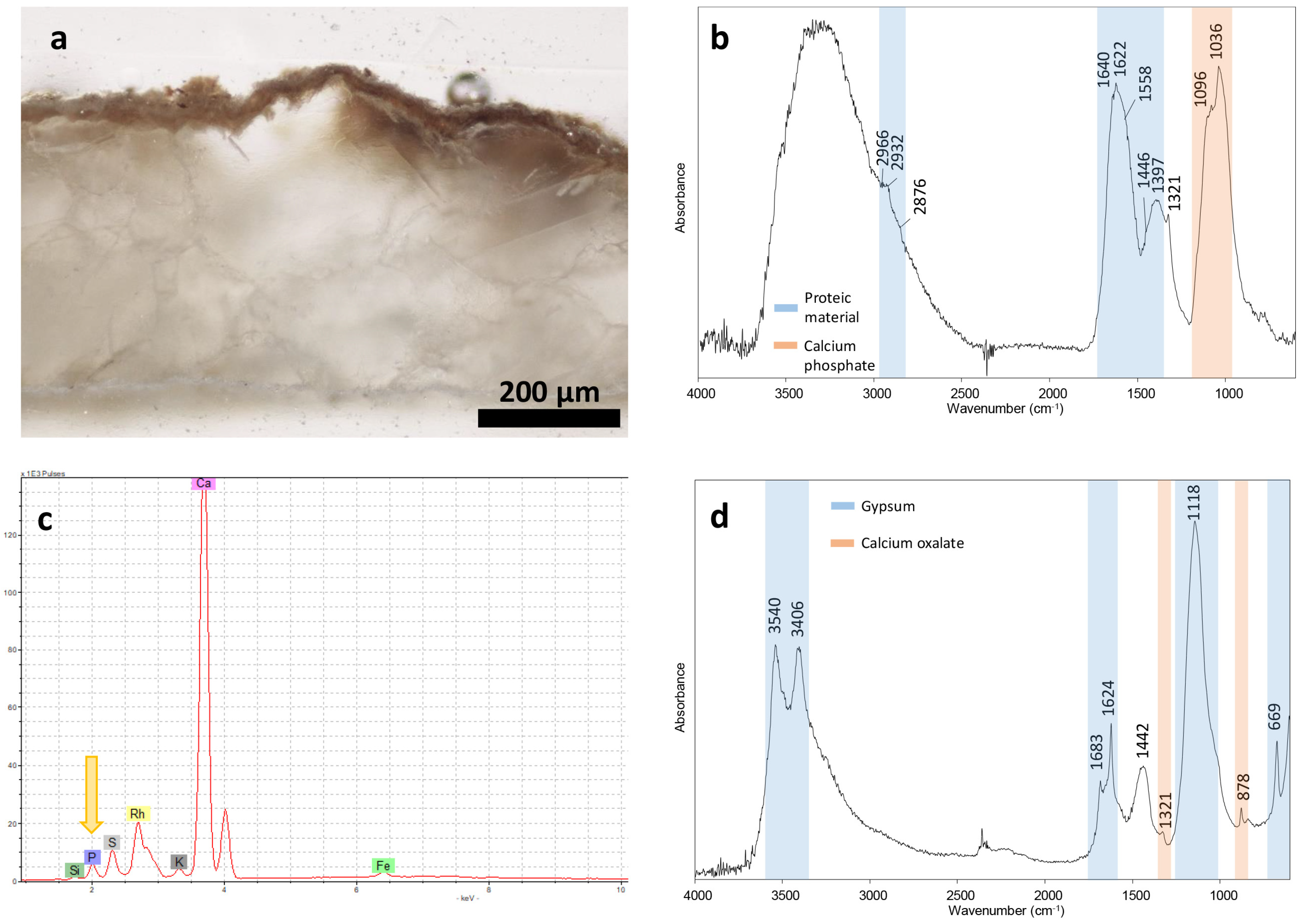 Heritage 05 00172 g006