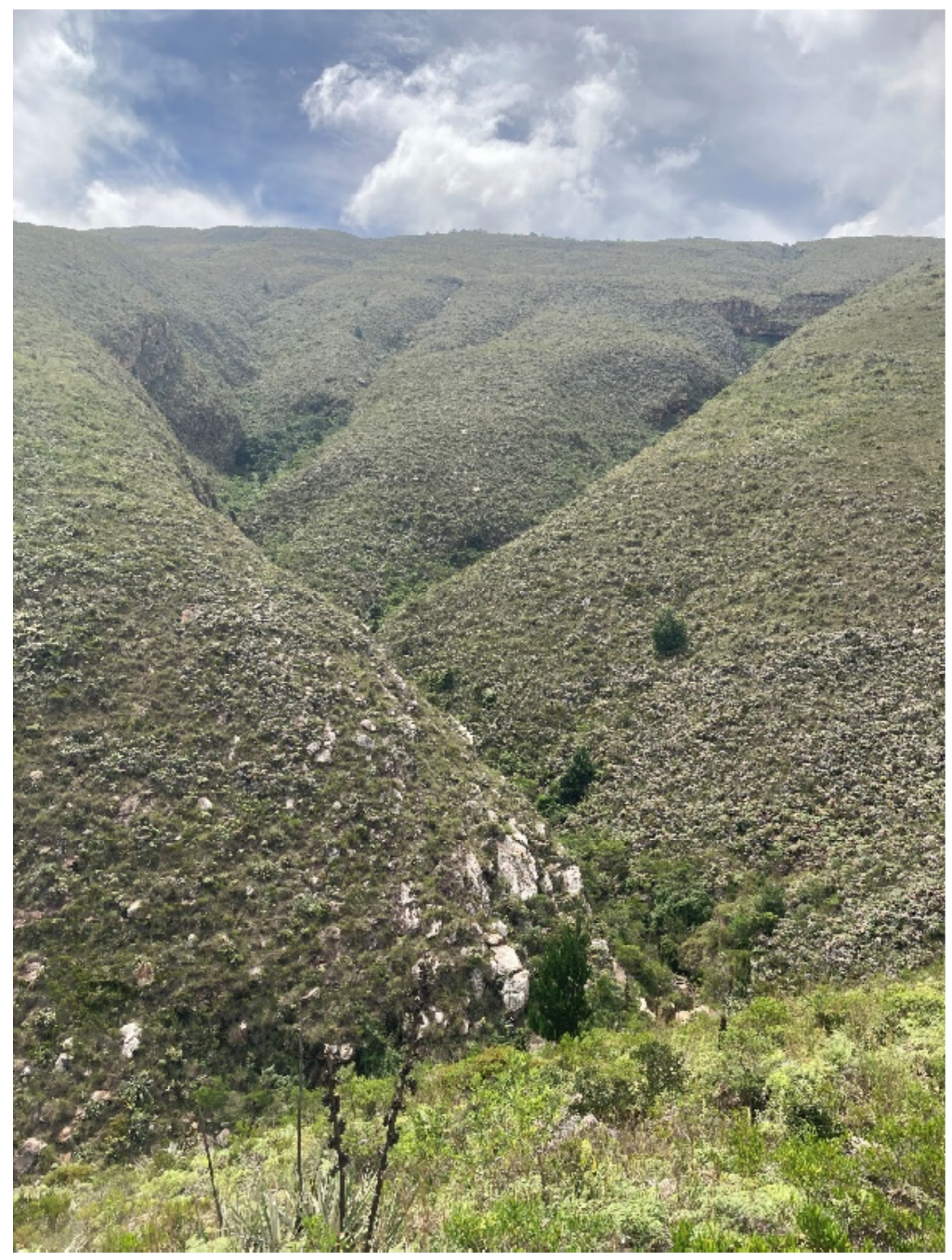 Heritage 05 00194 g004