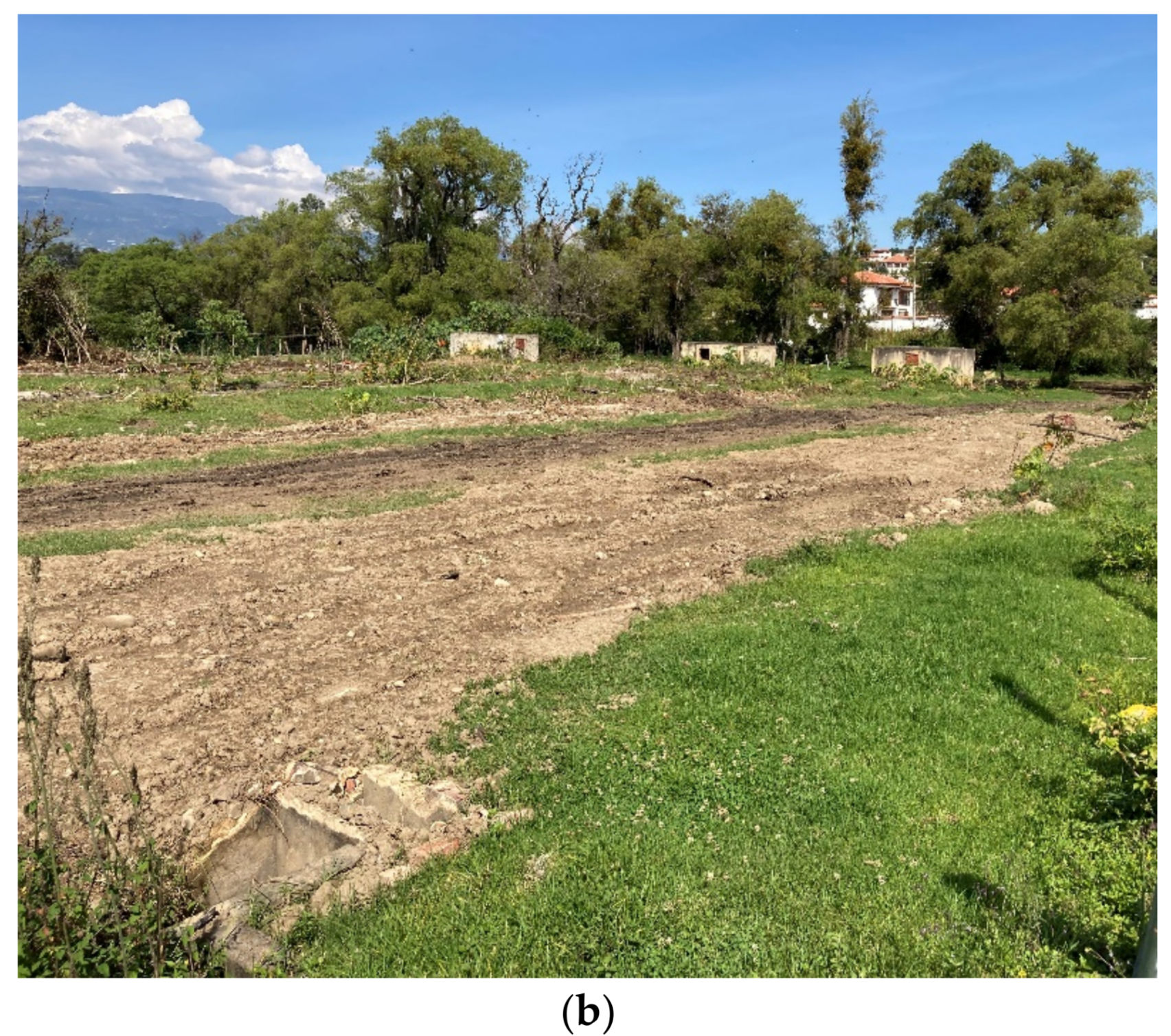 Heritage 05 00194 g008b