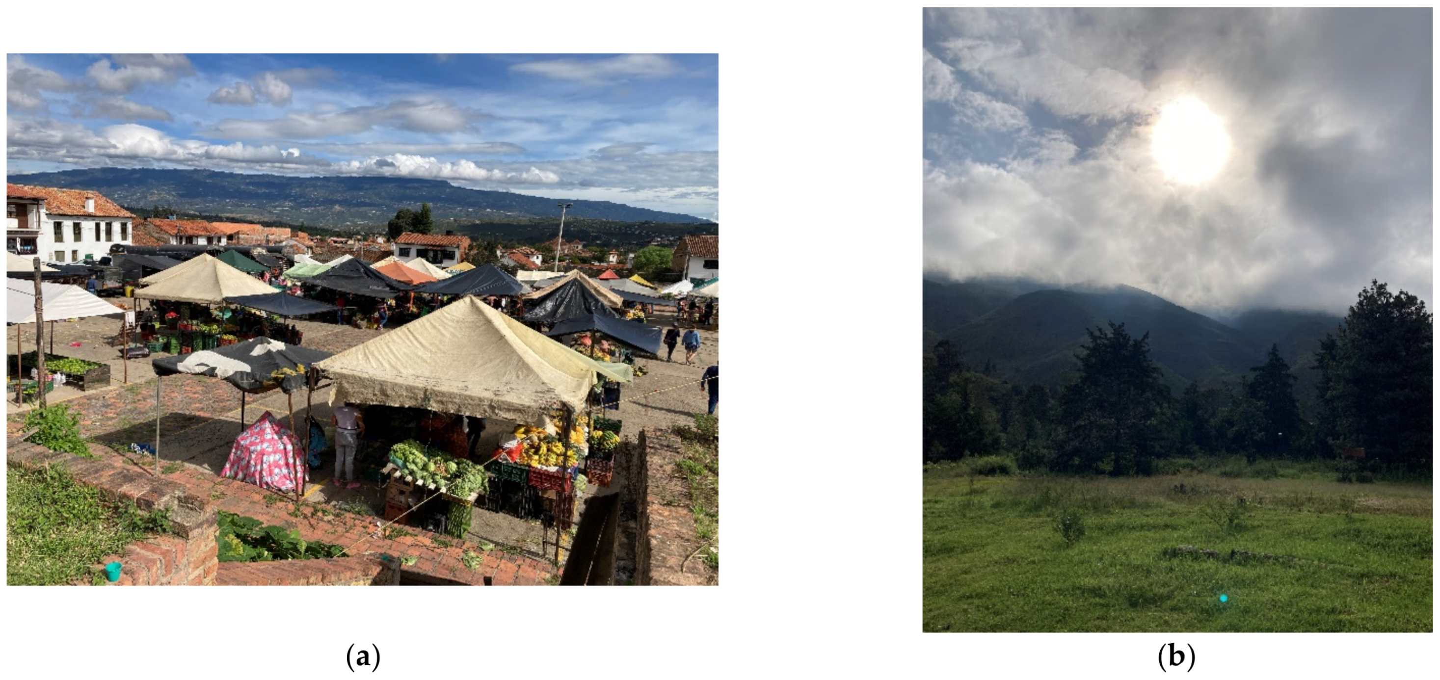 Heritage 05 00194 g017