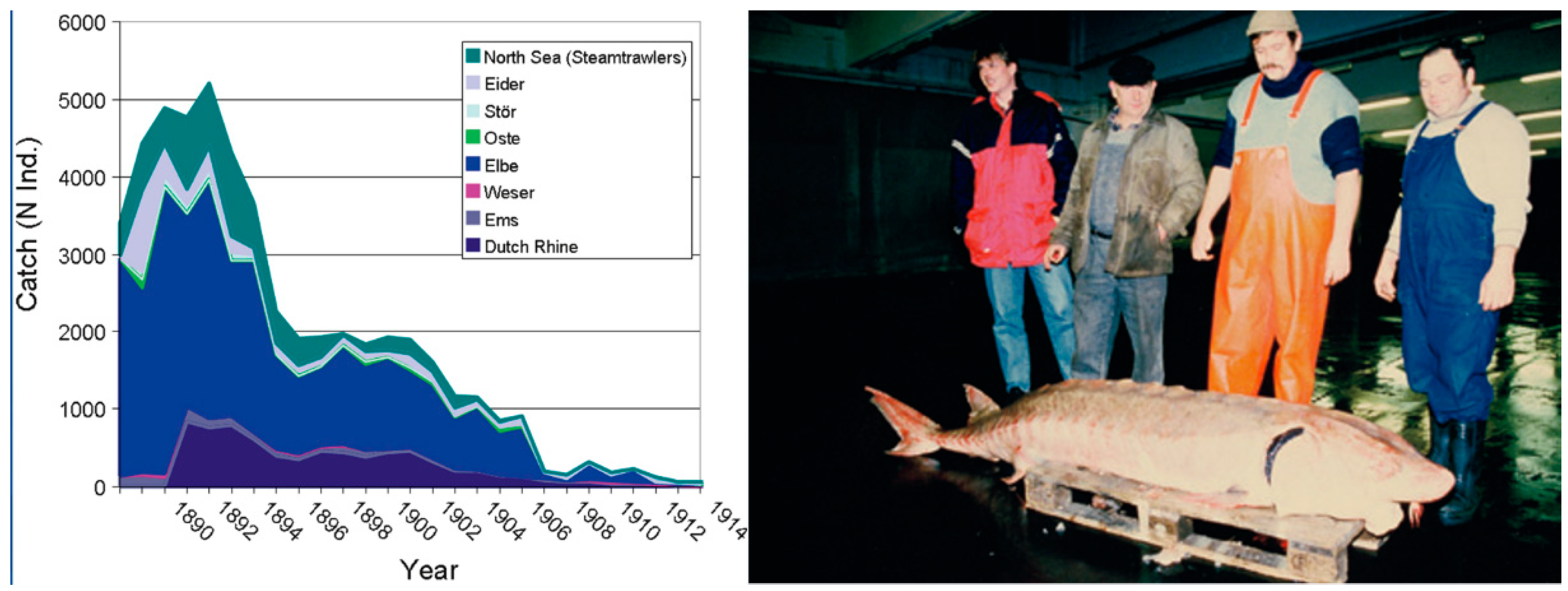 Heritage 05 00199 g002