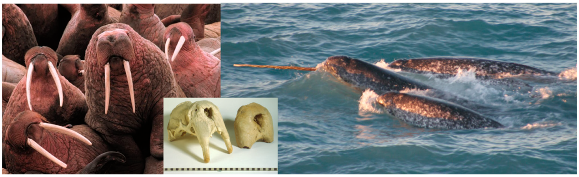 Heritage 05 00199 g004