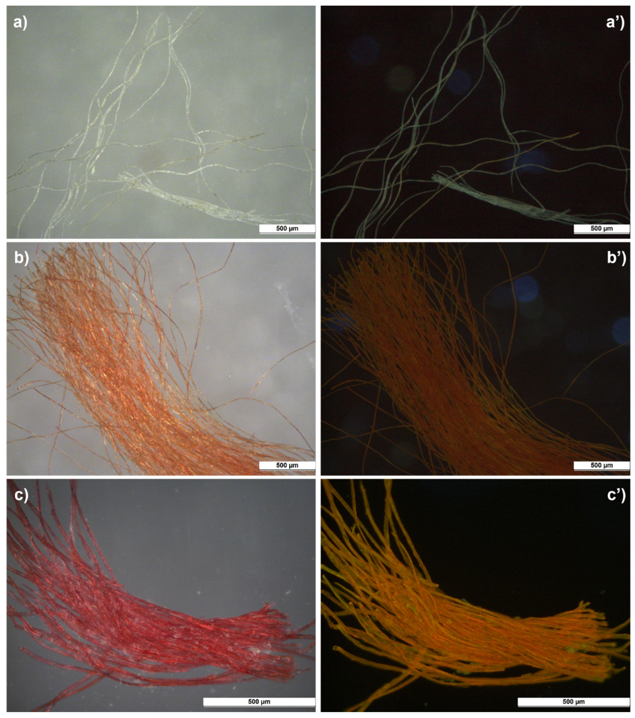 Heritage 06 00003 g004