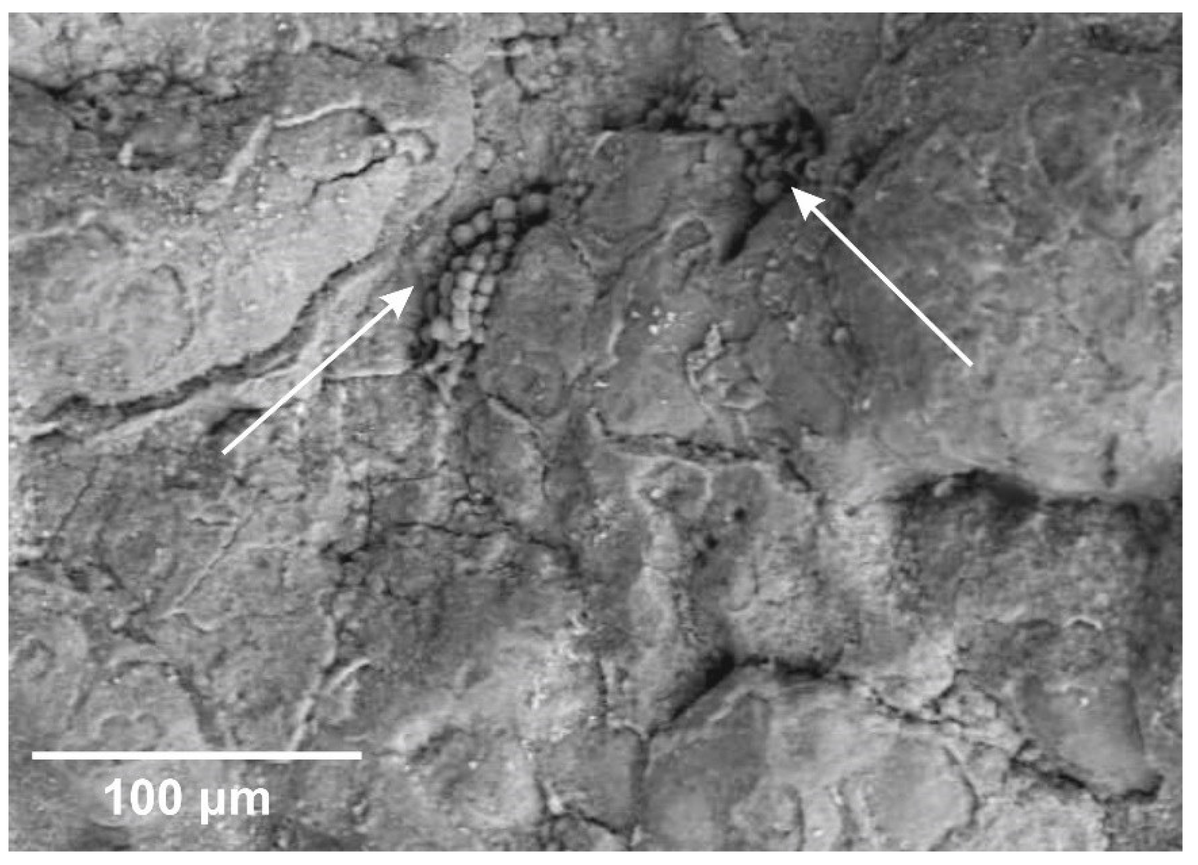 Heritage 06 00004 g011