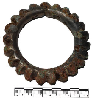 Heritage 06 00010 i012