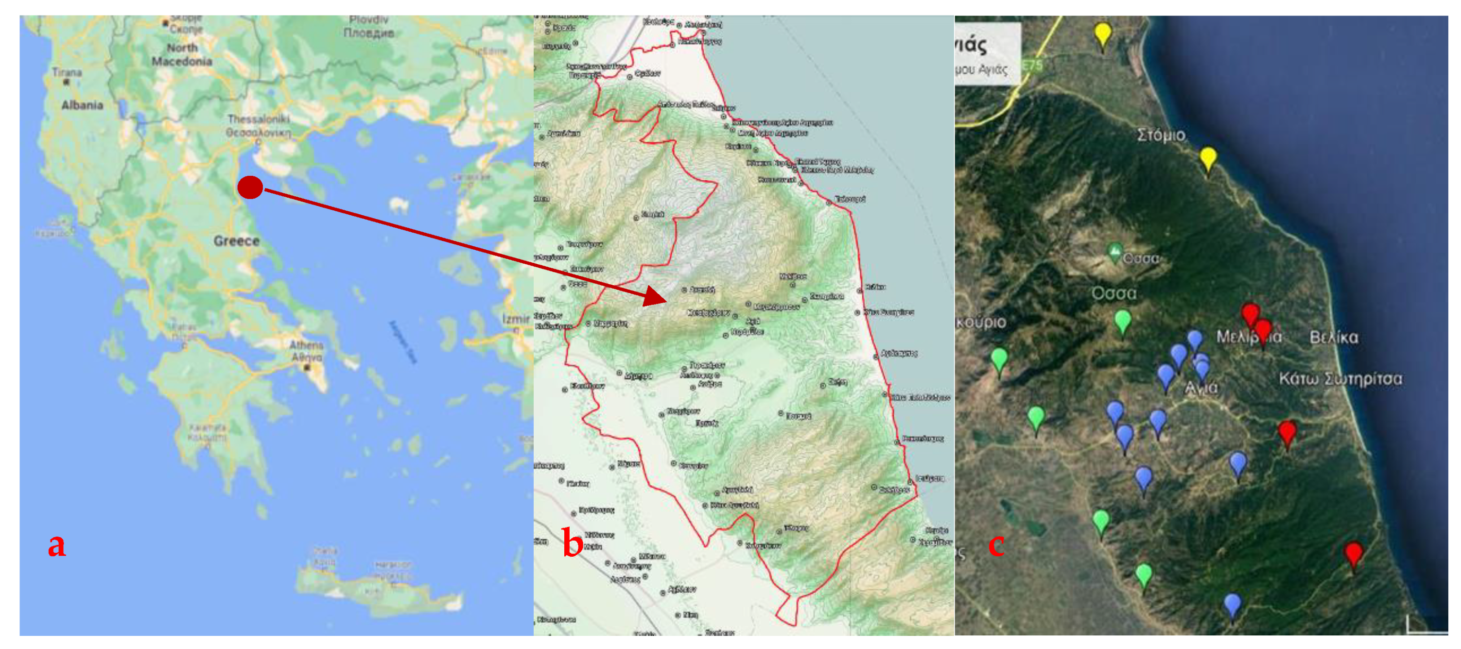 Heritage 06 00020 g001