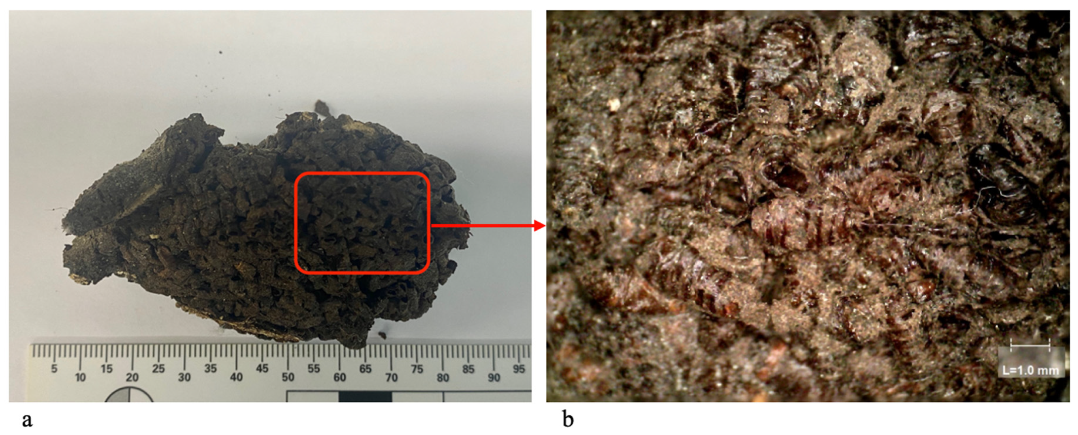 Heritage 06 00023 g002