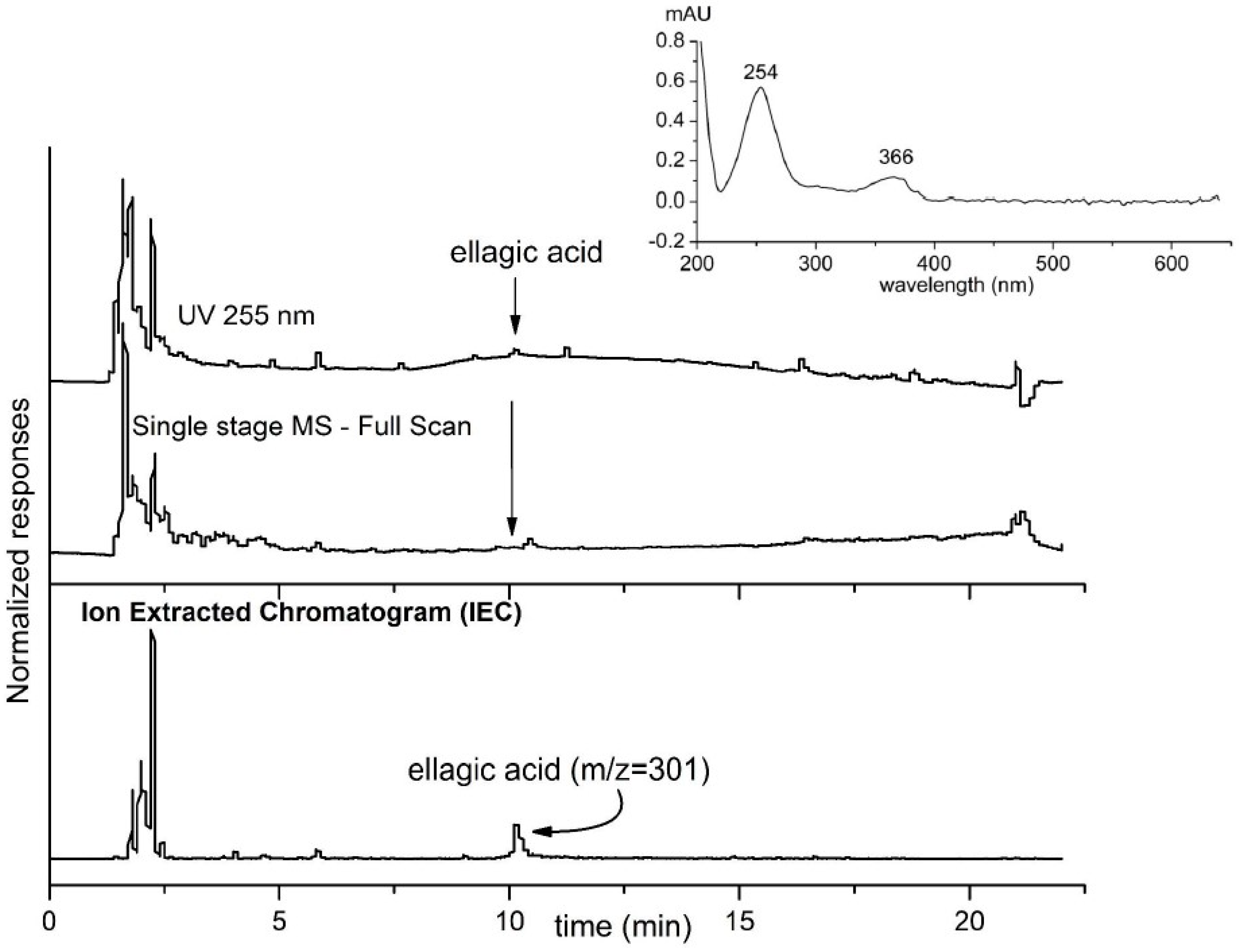 Heritage 06 00027 g005 Heritage 06 00027 g005