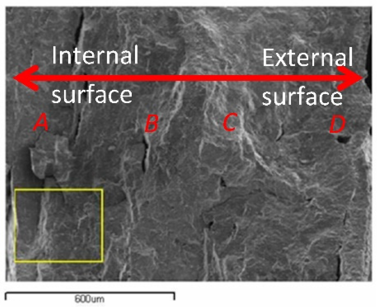 Heritage 06 00031 g006