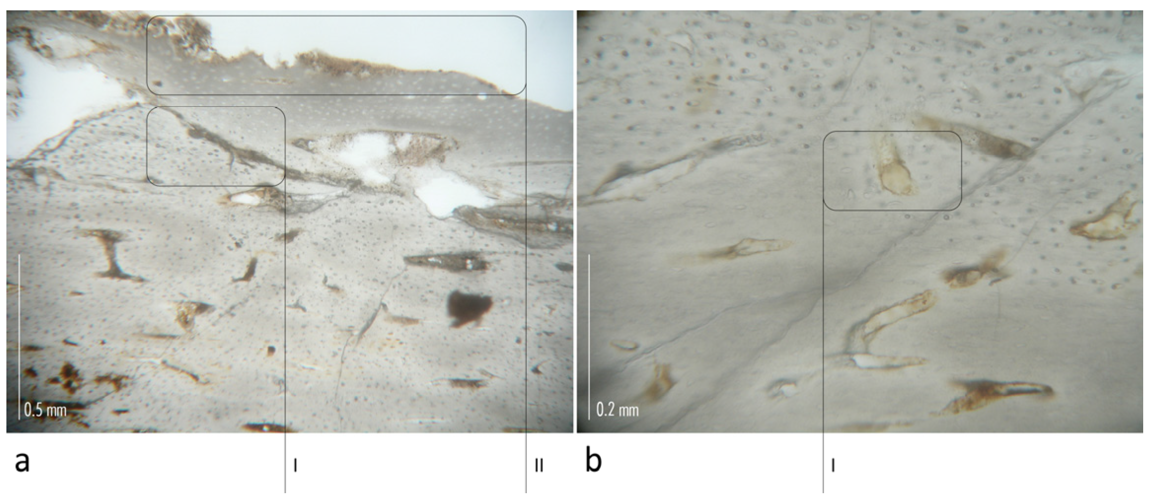 Heritage 06 00034 g004 Heritage 06 00034 g004