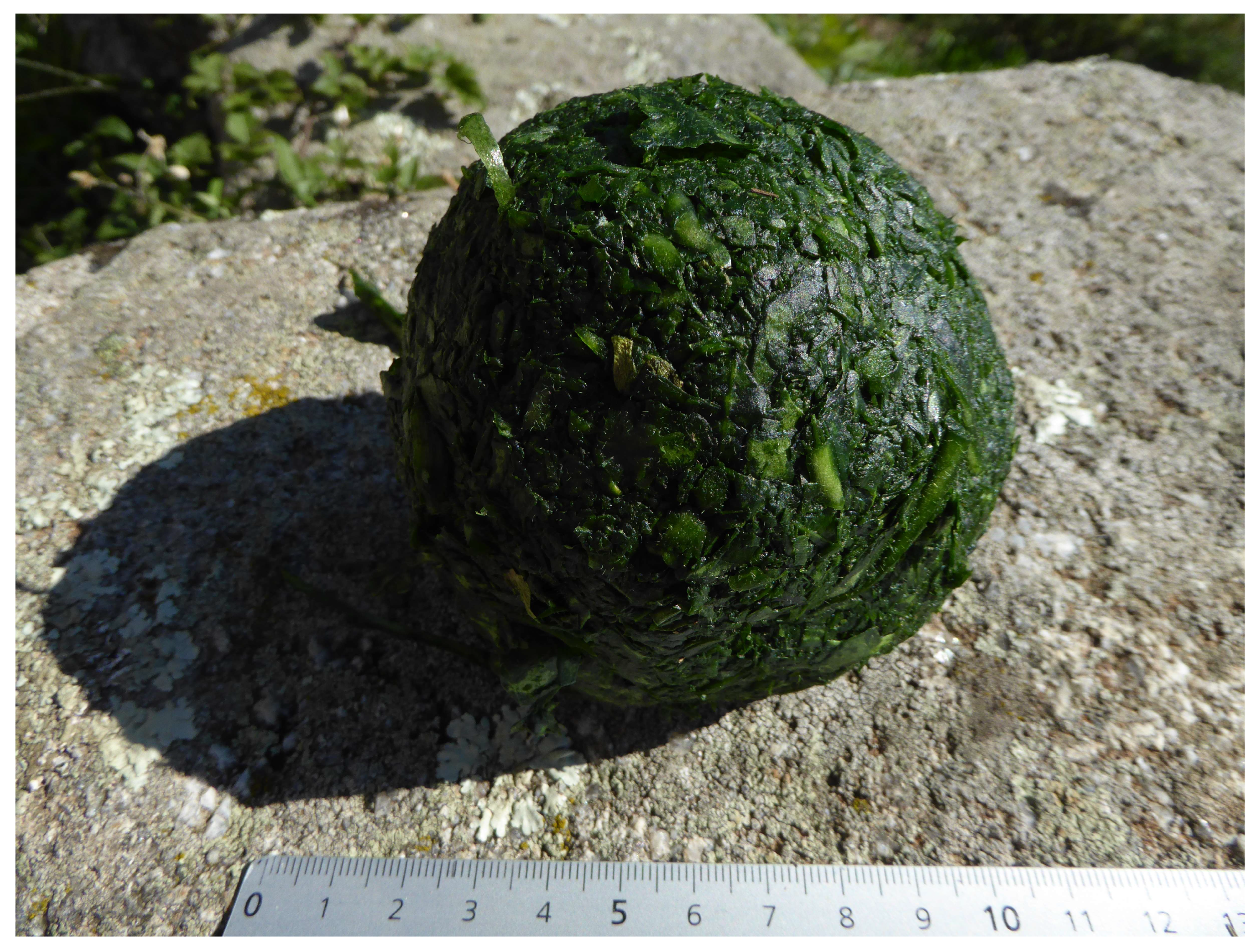 Heritage 06 00037 g003 550