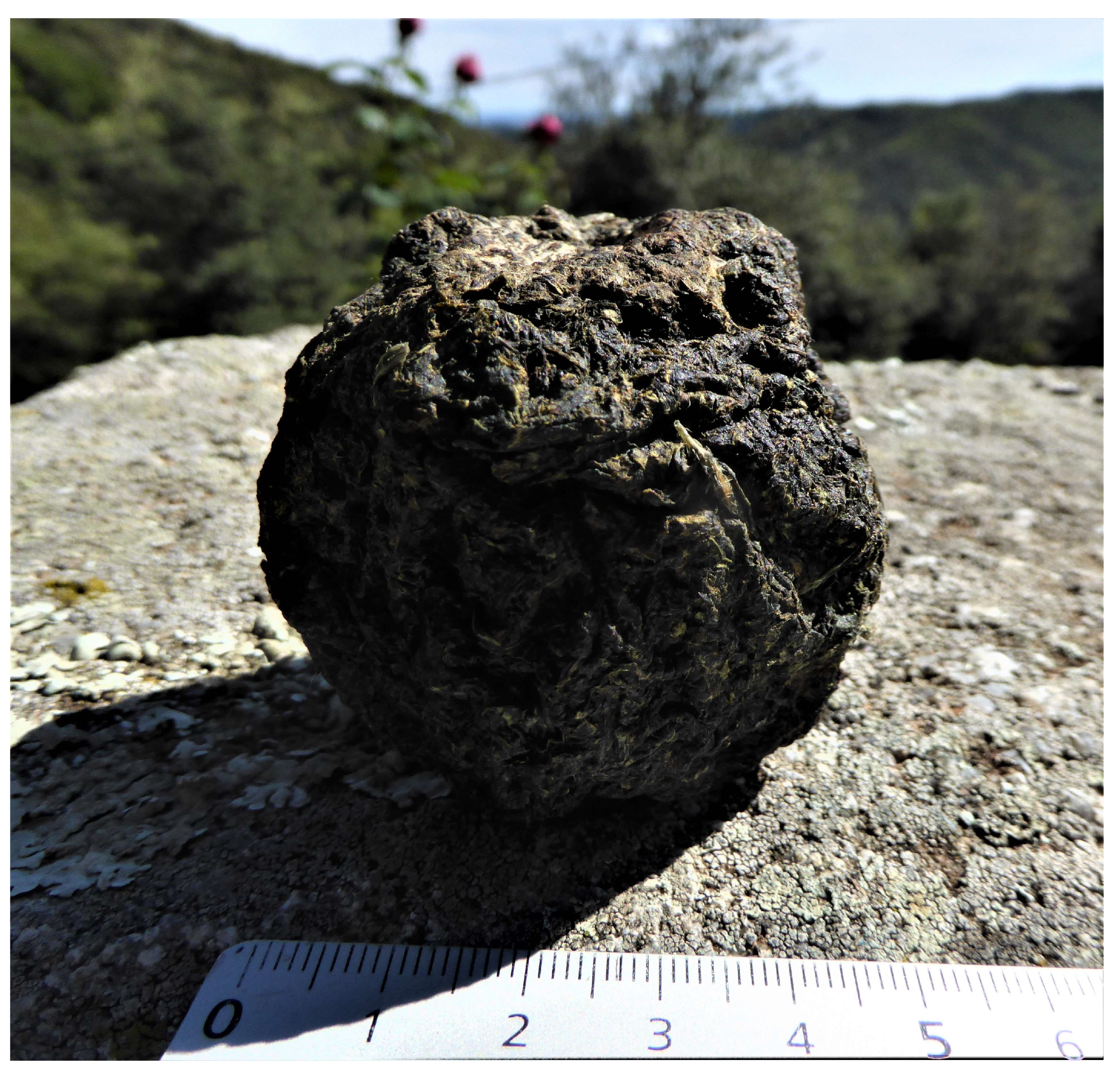 Heritage 06 00037 g004 550