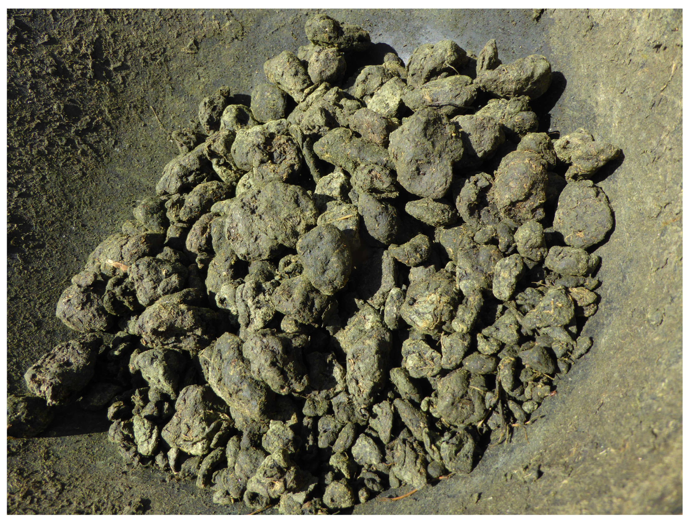 Heritage 06 00037 g009 550