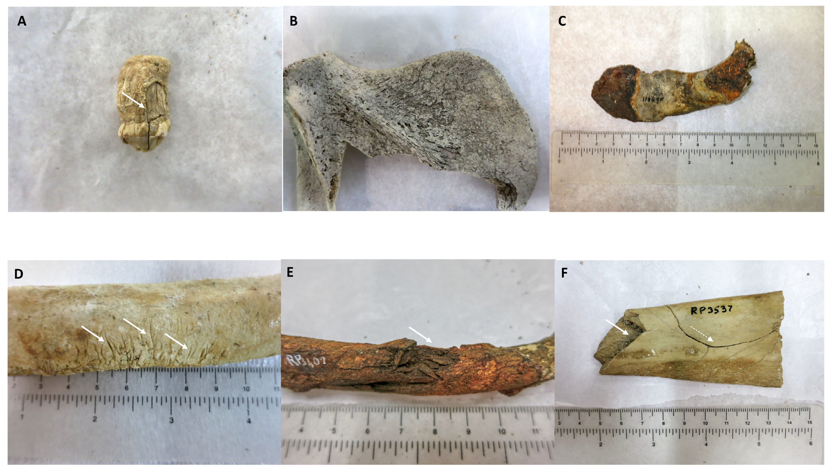 Heritage 06 00042 g001