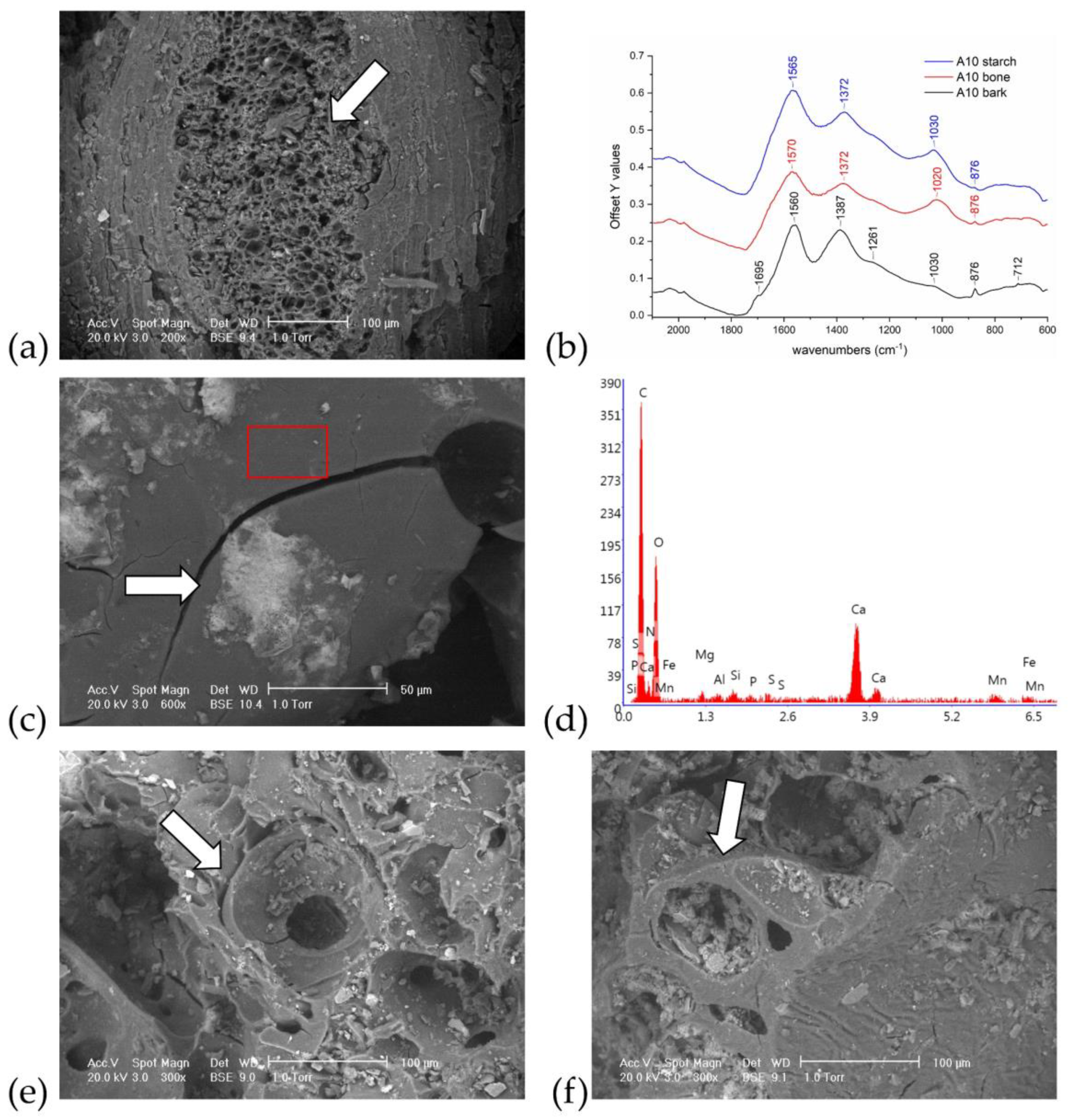 Heritage 06 00047 g004 Heritage 06 00047 g004