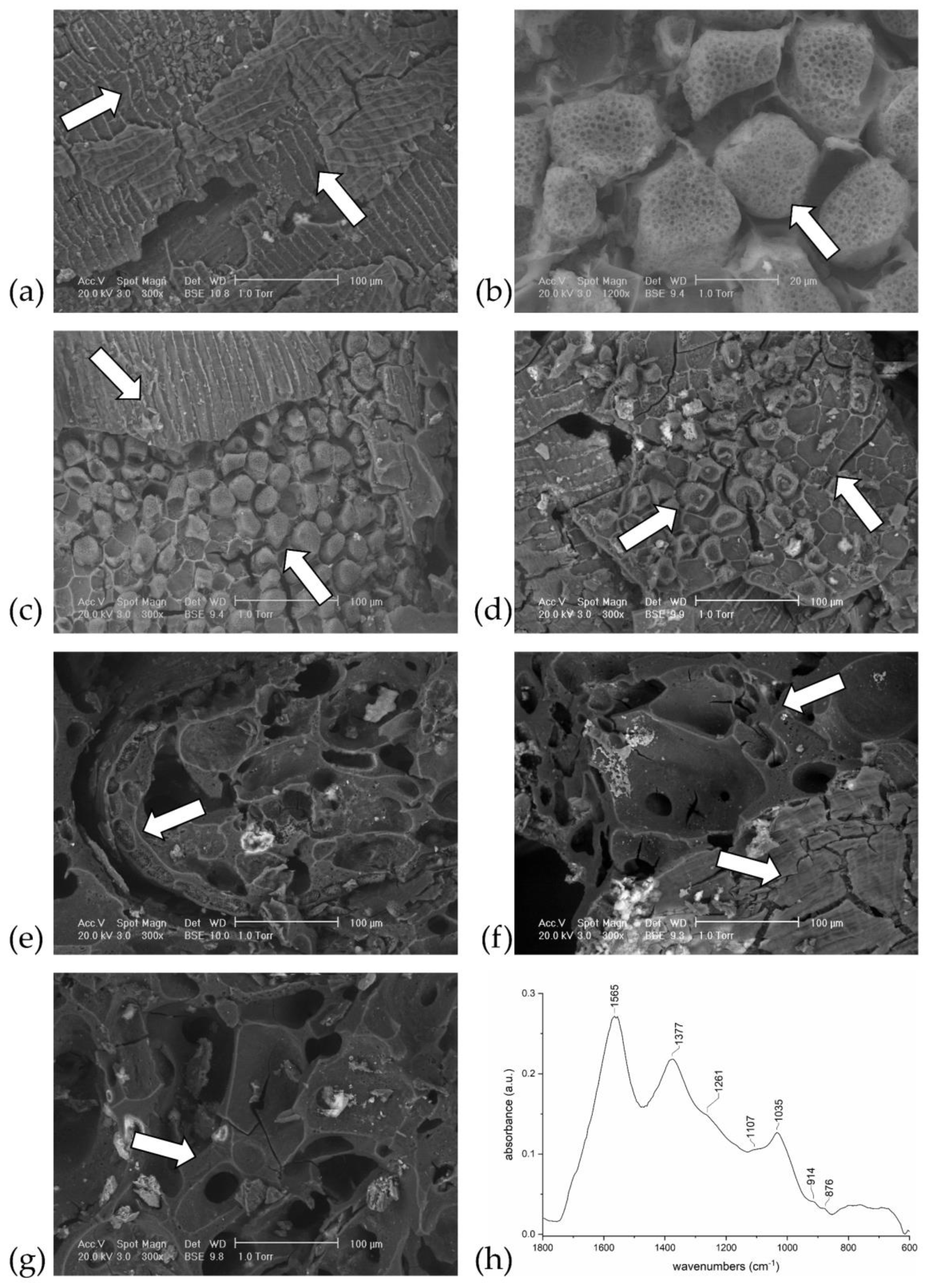 Heritage 06 00047 g007 Heritage 06 00047 g007