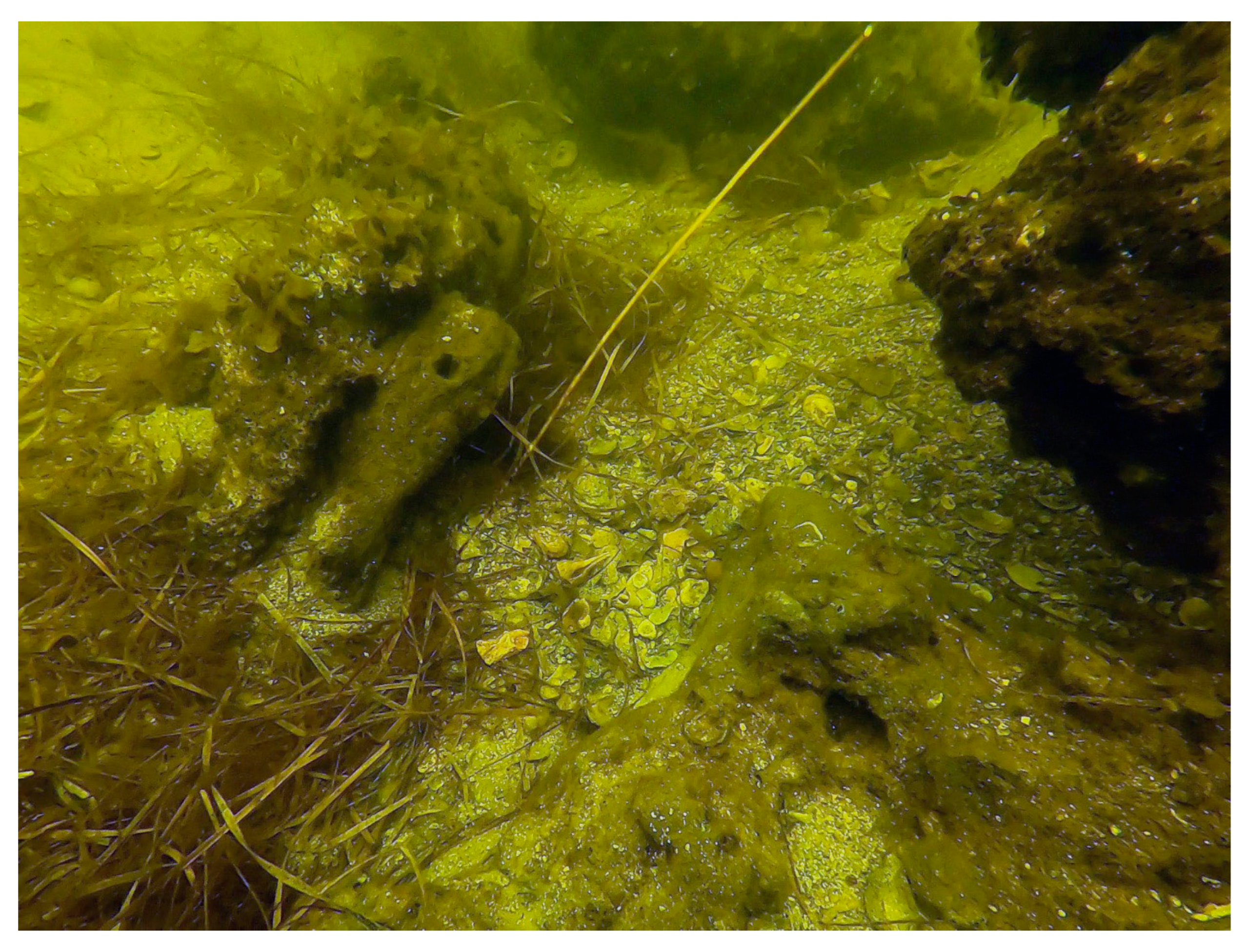 Heritage 06 00051 g005 Heritage 06 00051 g005