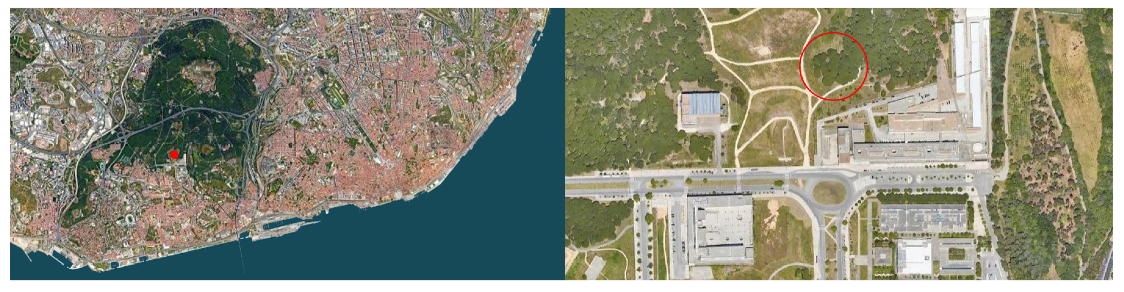 Heritage 06 00057 g001 Heritage 06 00057 g001