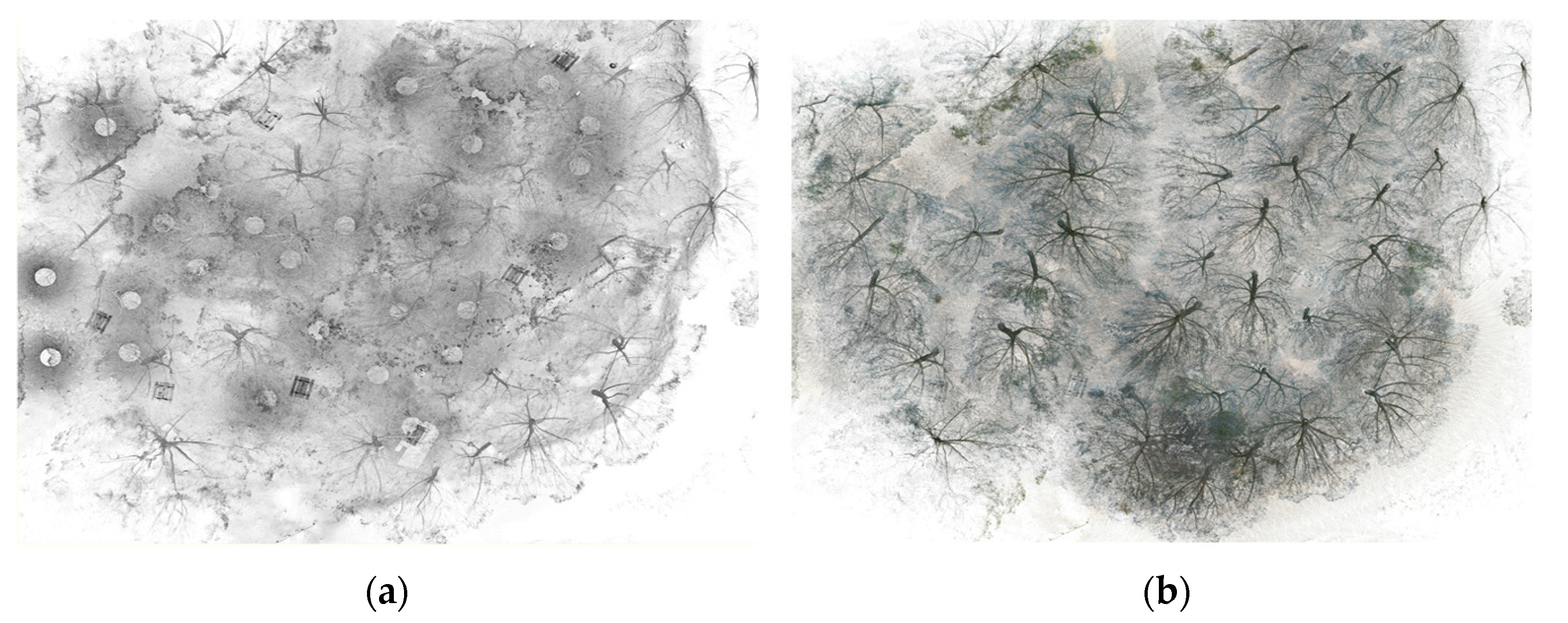 Heritage 06 00057 g003 Heritage 06 00057 g003