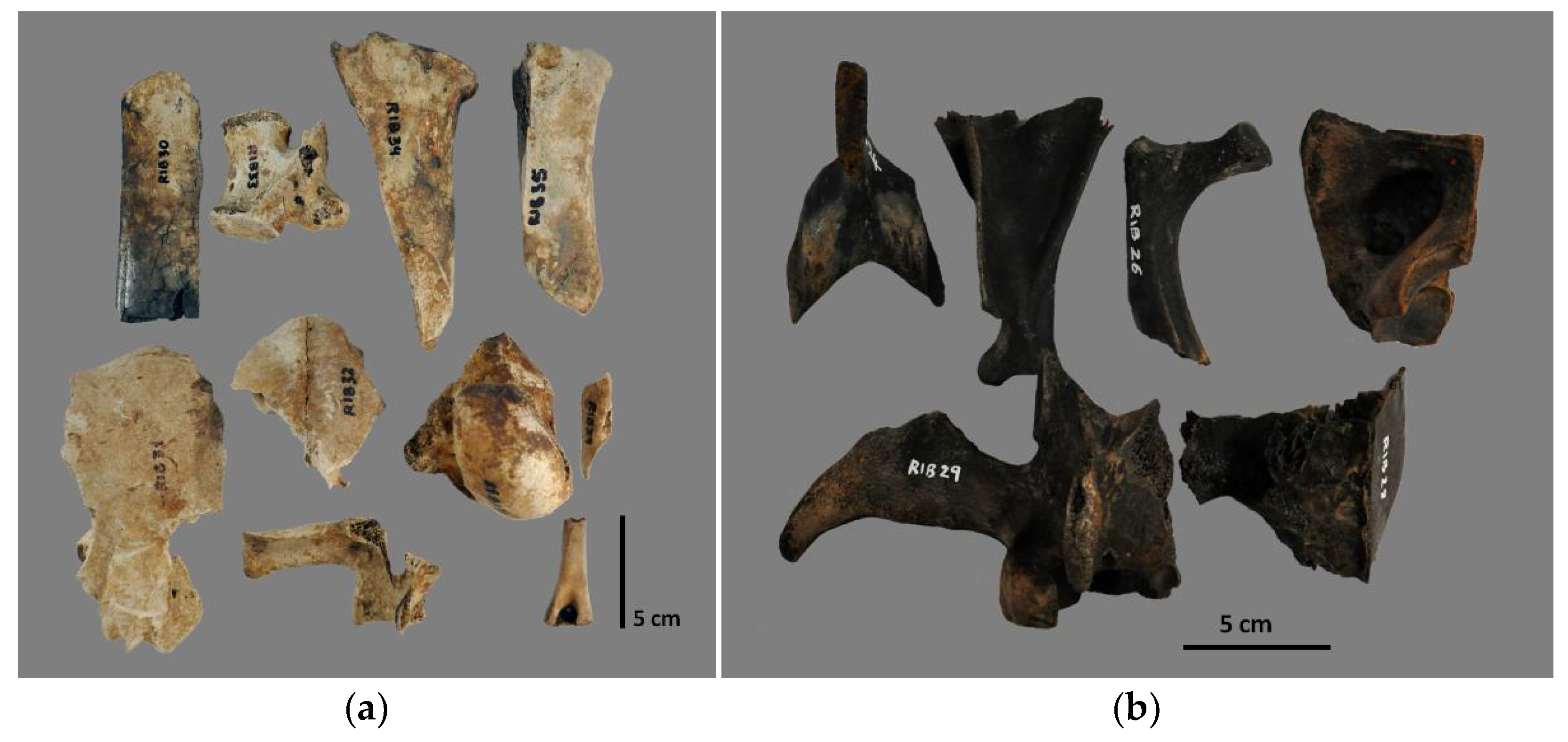 Heritage 06 00062 g001 Heritage 06 00062 g001