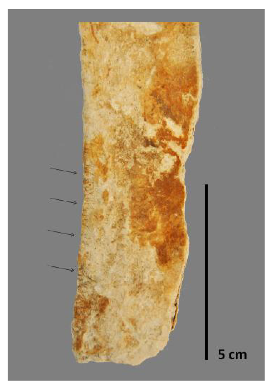 Heritage 06 00062 g002 Heritage 06 00062 g002