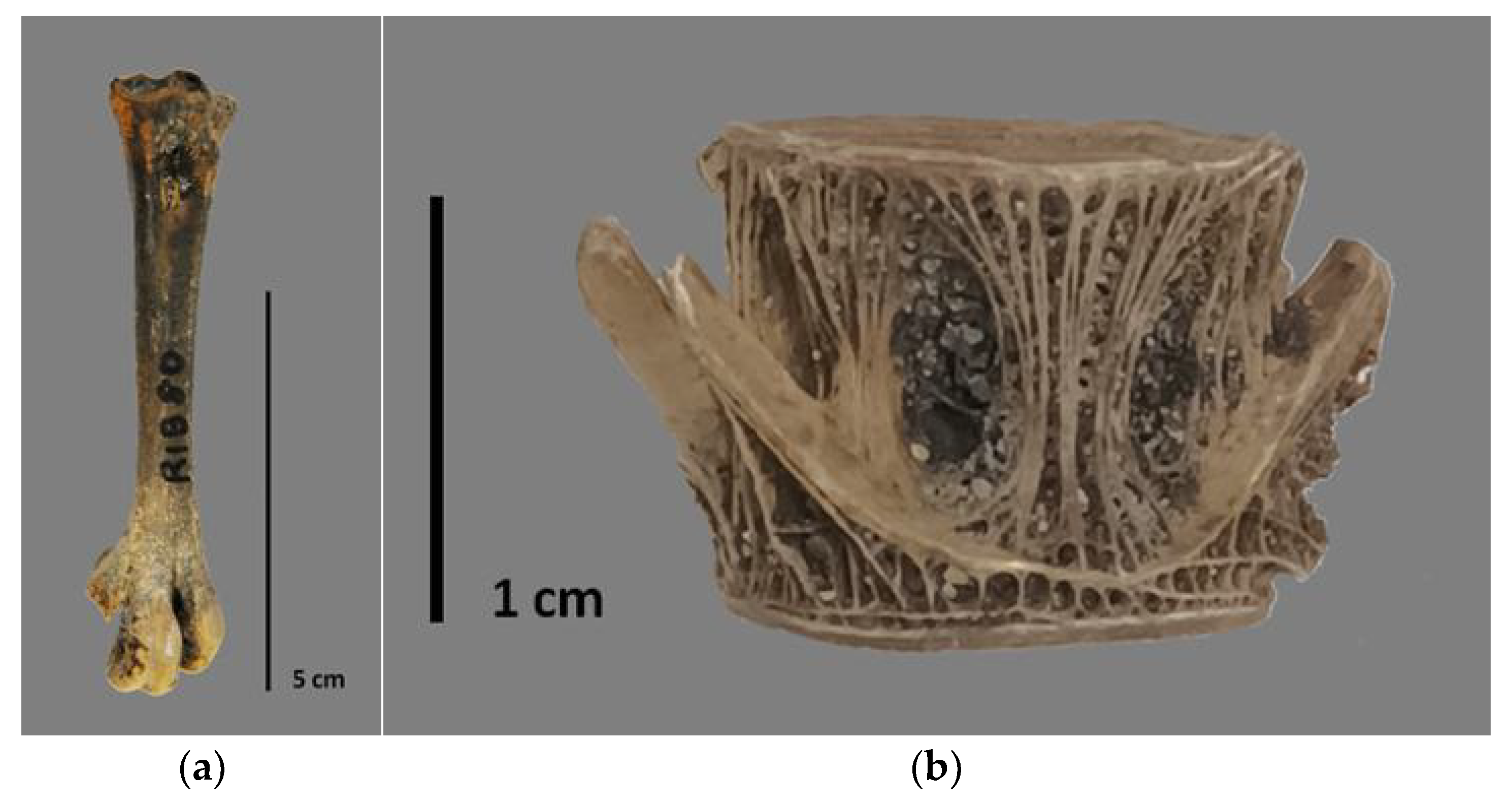 Heritage 06 00062 g003 Heritage 06 00062 g003
