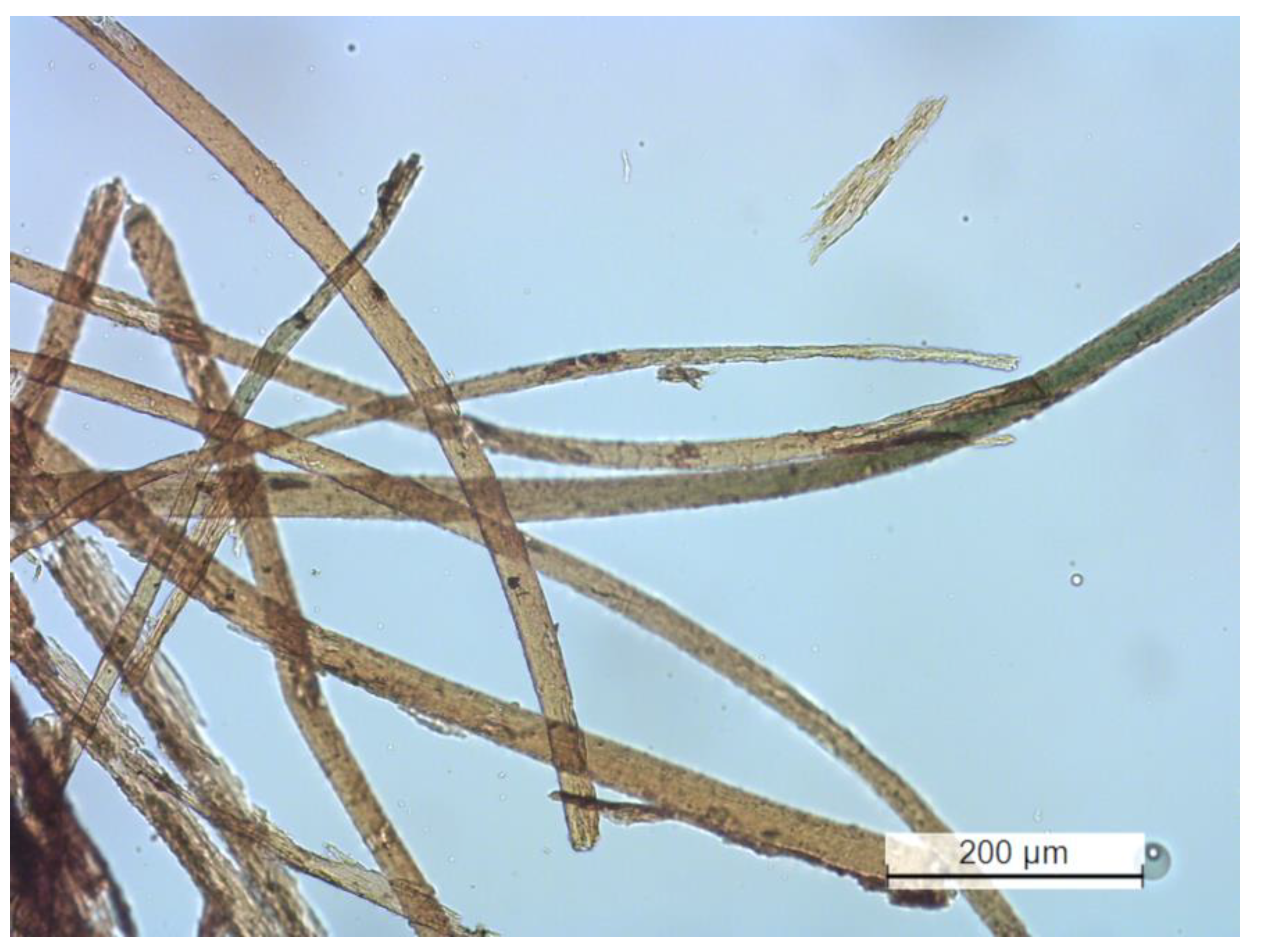 Heritage 06 00067 g003 Heritage 06 00067 g003