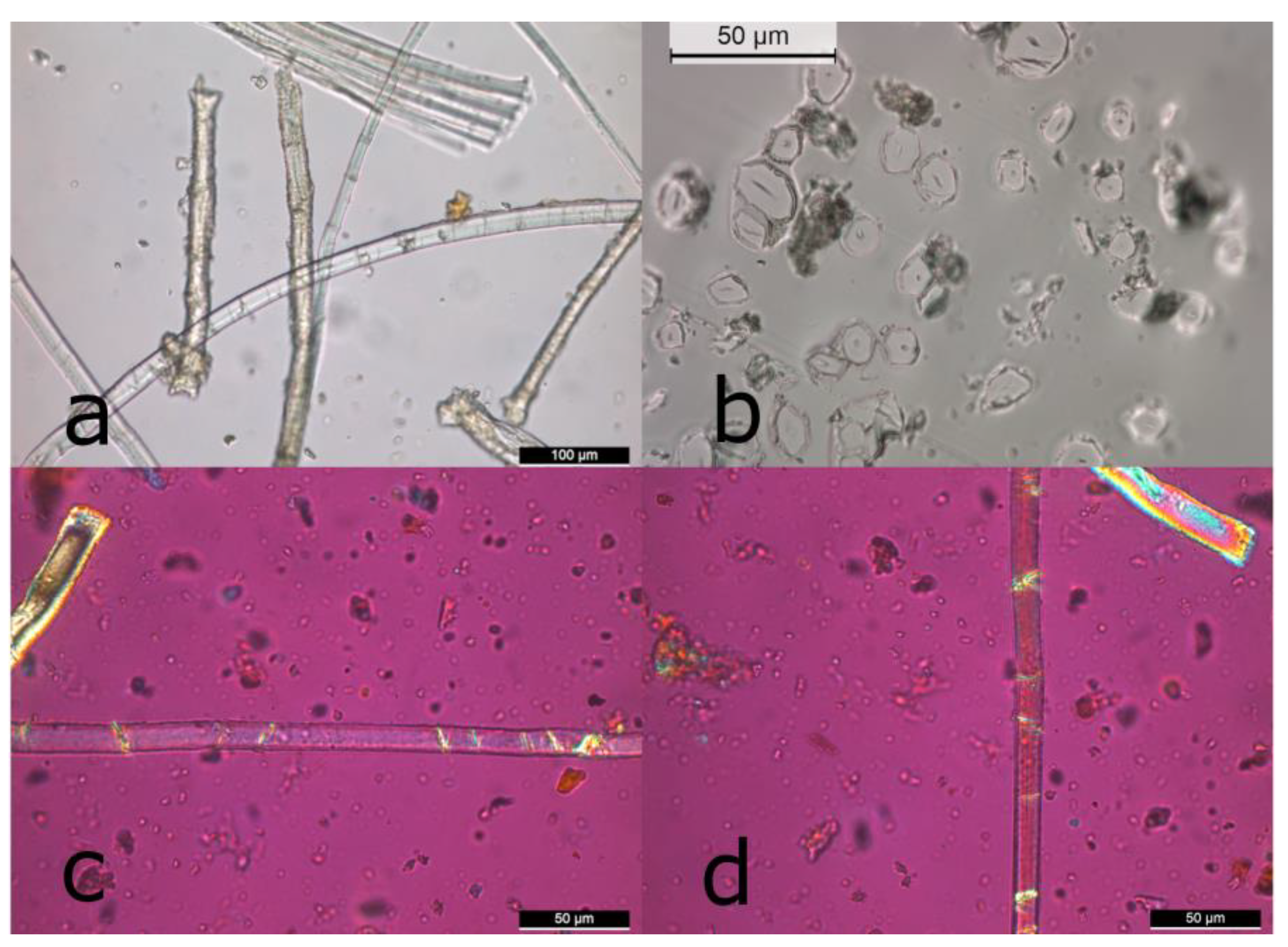 Heritage 06 00067 g004 Heritage 06 00067 g004