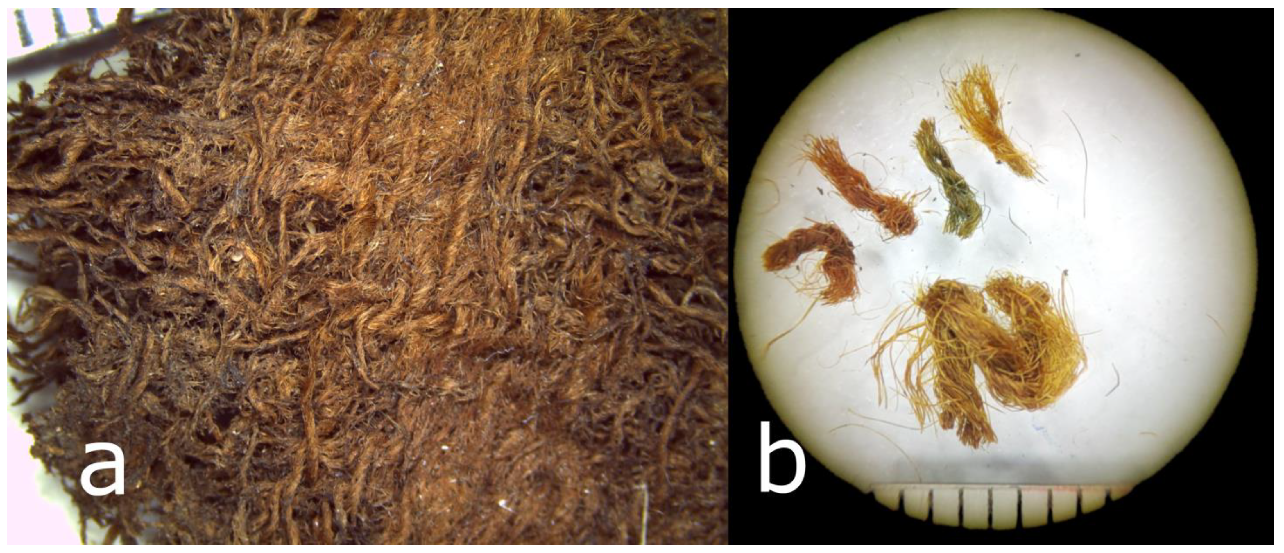 Heritage 06 00067 g008 Heritage 06 00067 g008