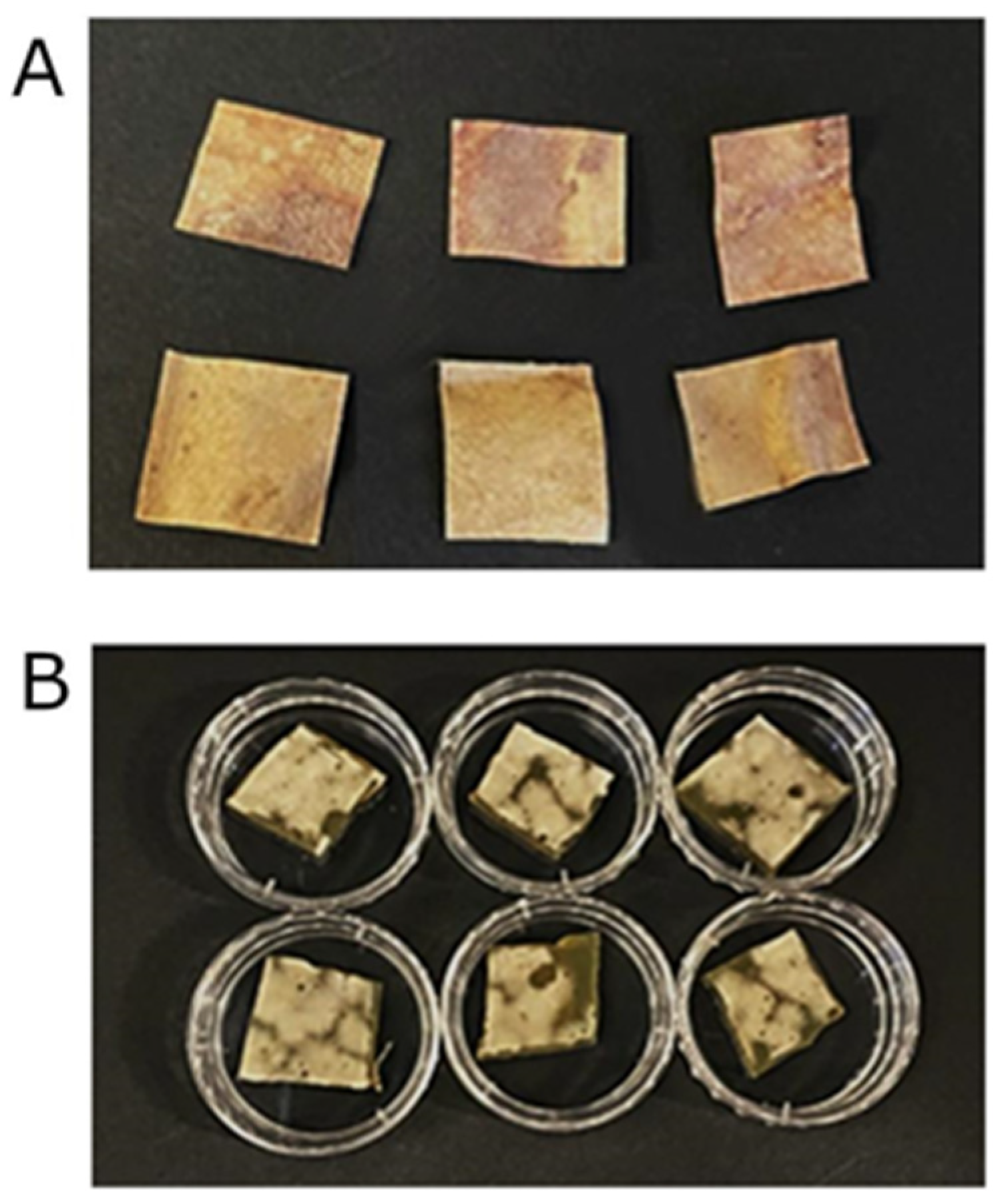 Heritage 06 00072 g002 Heritage 06 00072 g002