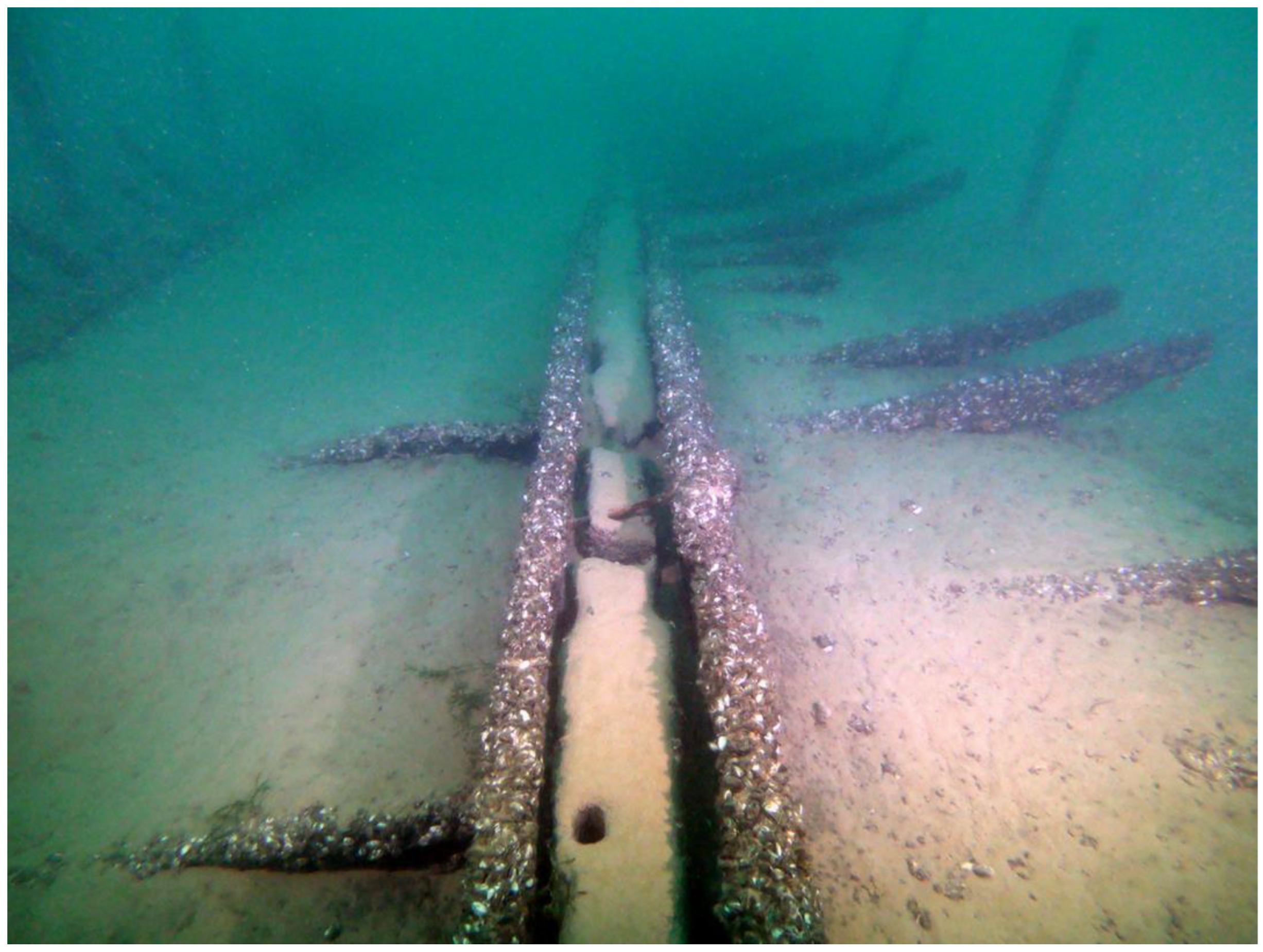 Heritage 06 00085 g007