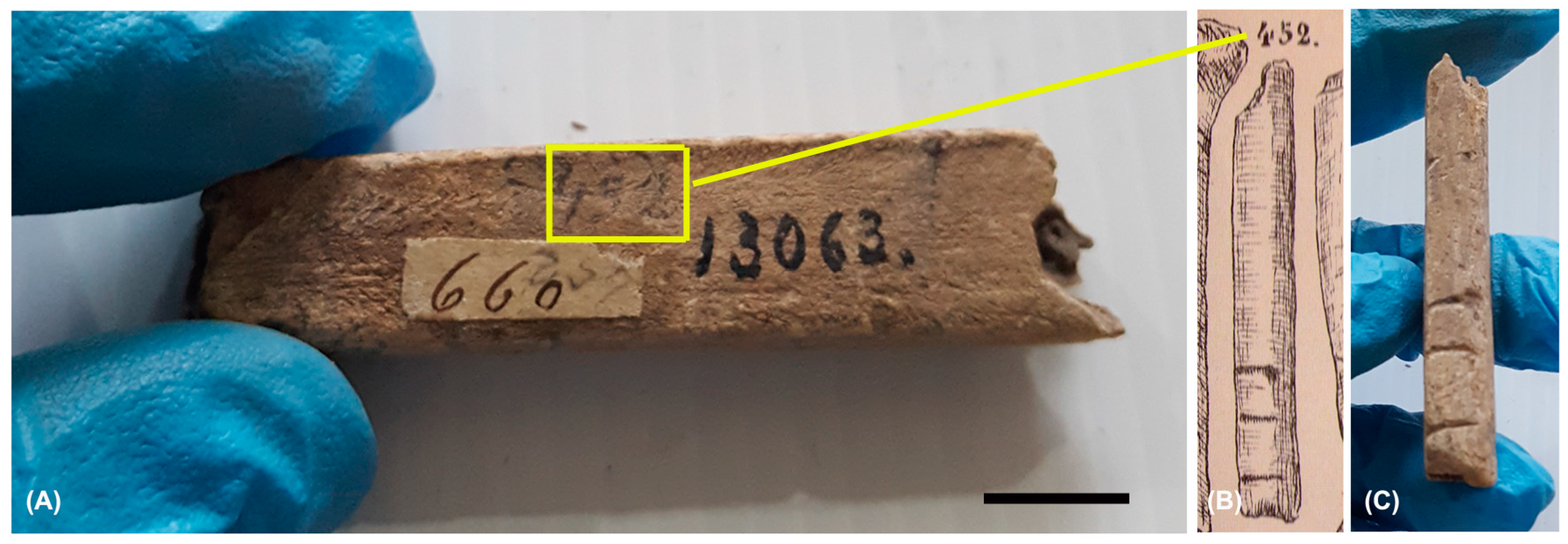 Heritage 06 00086 g001 550