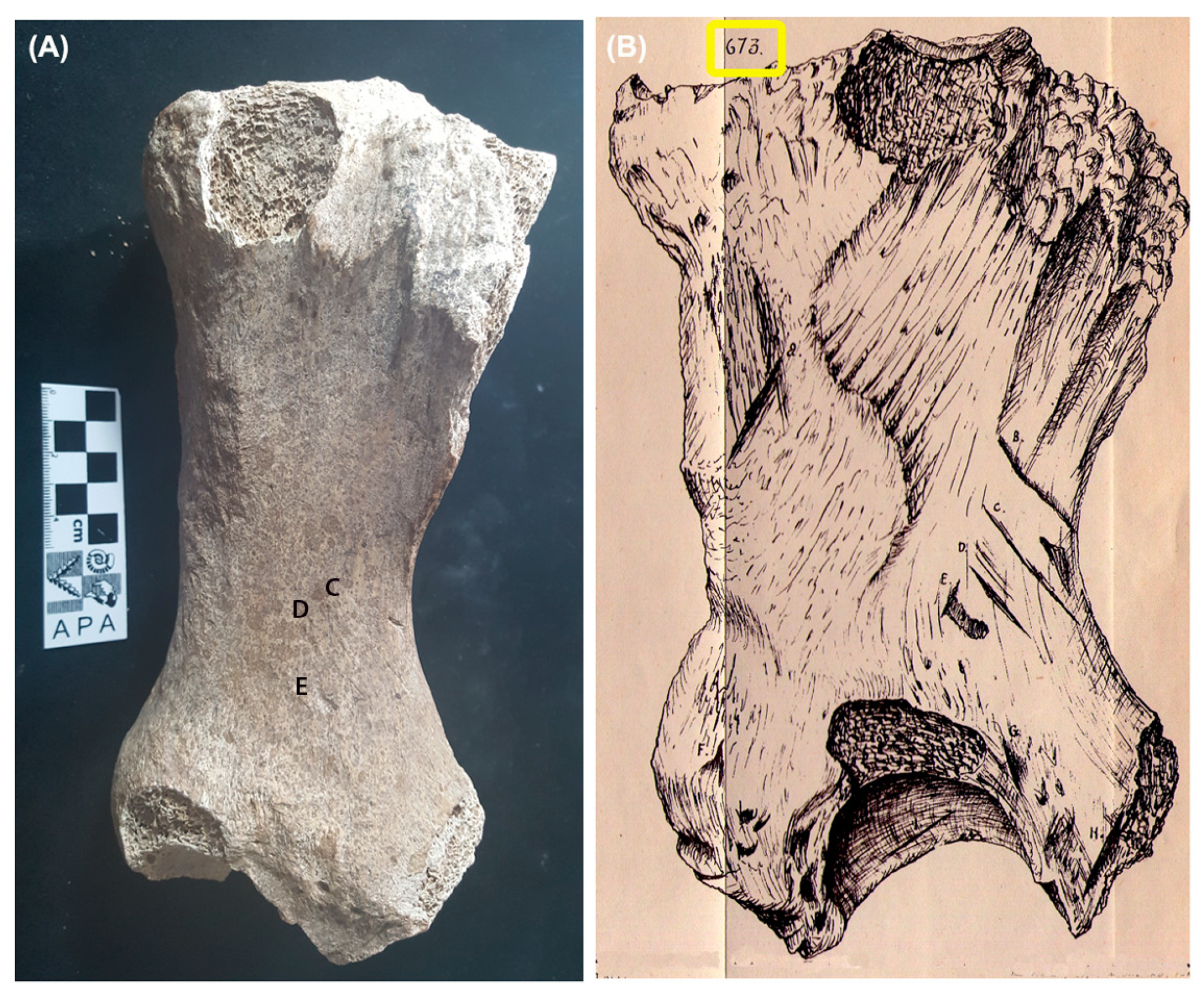 Heritage 06 00086 g009 550