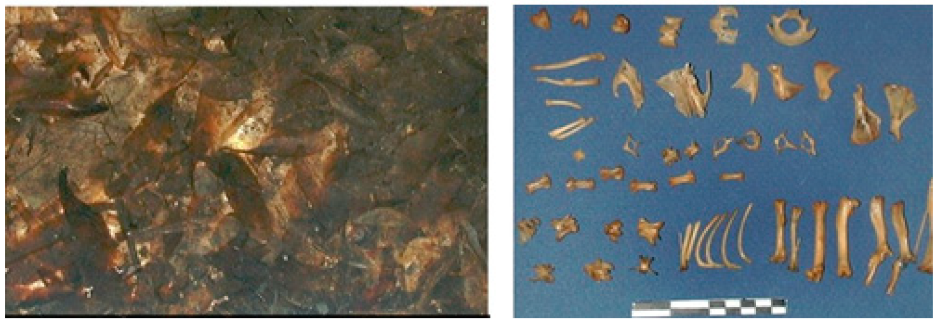 Heritage 06 00109 g008