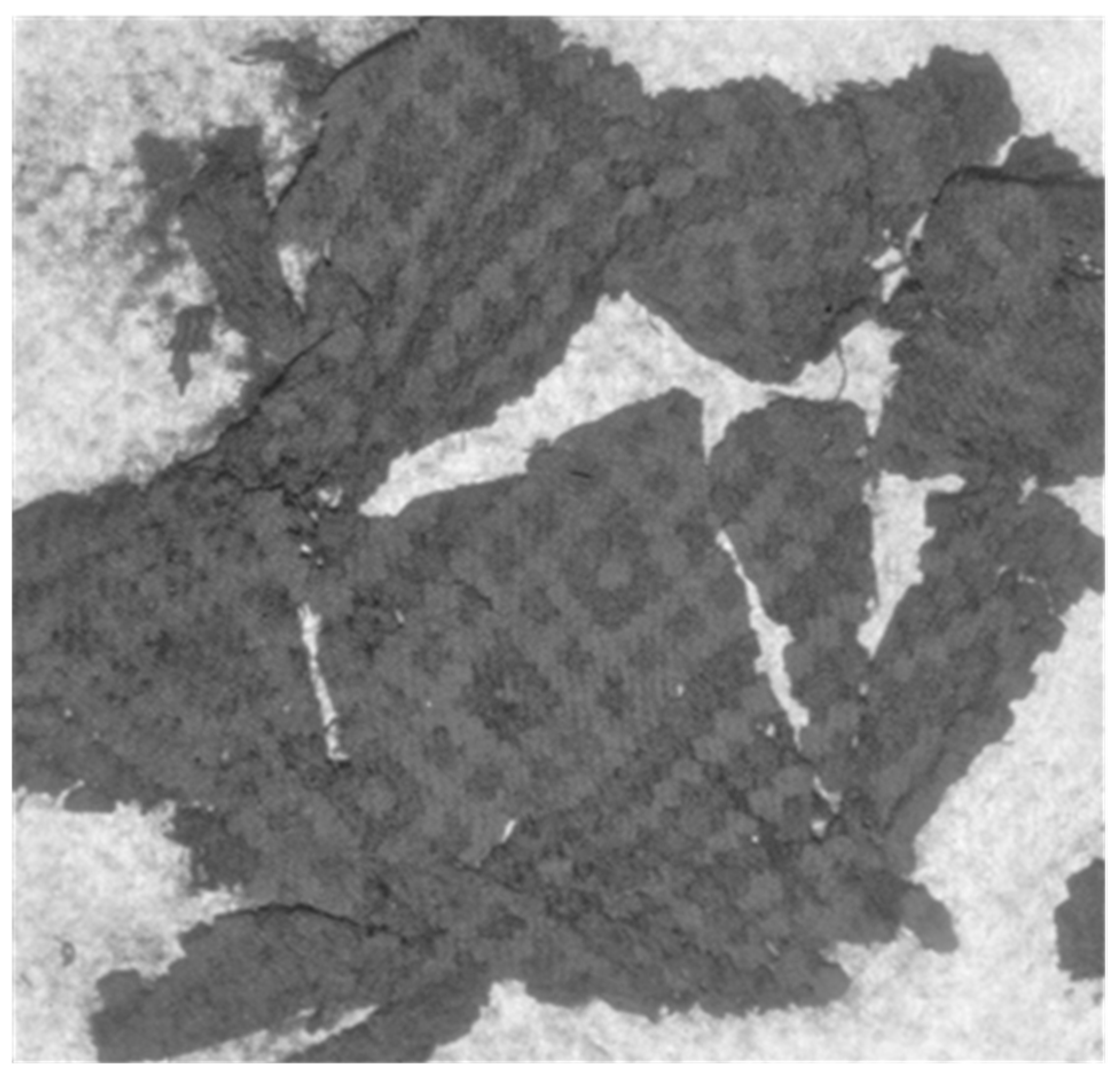 Heritage 06 00118 g006 Heritage 06 00118 g006