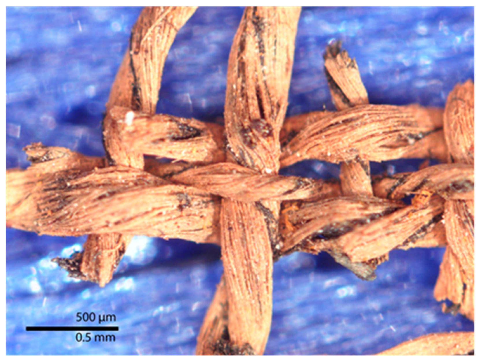 Heritage 06 00118 g020 Heritage 06 00118 g020