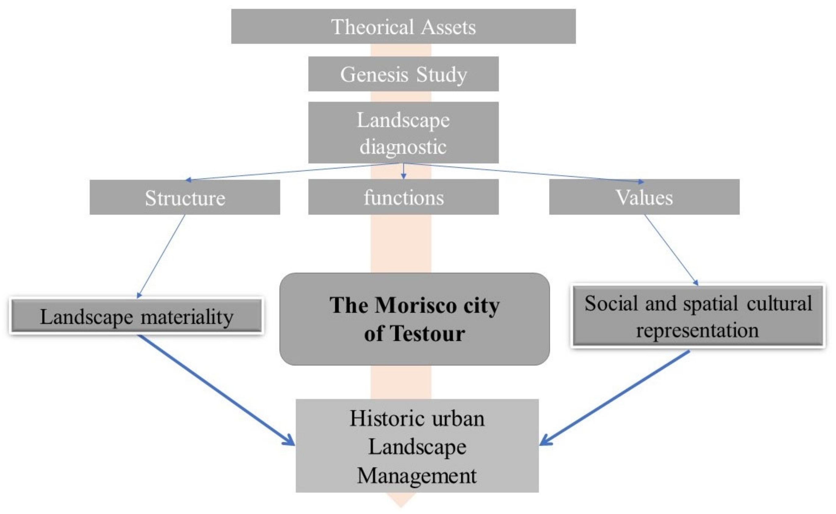 Schéma Très Simplifié Du Plan Dorganisation De Quelques Animaux Heritage | Free Full-Text | New Socio-Spatial Reading of a Remarkable Landscape Located in Testour, toward a Heritage Setting of a Moorish Site
