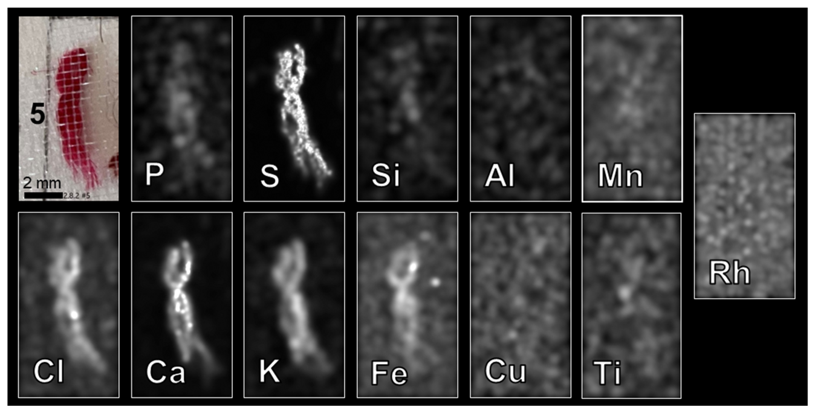 Heritage 06 00124 g013 Heritage 06 00124 g013