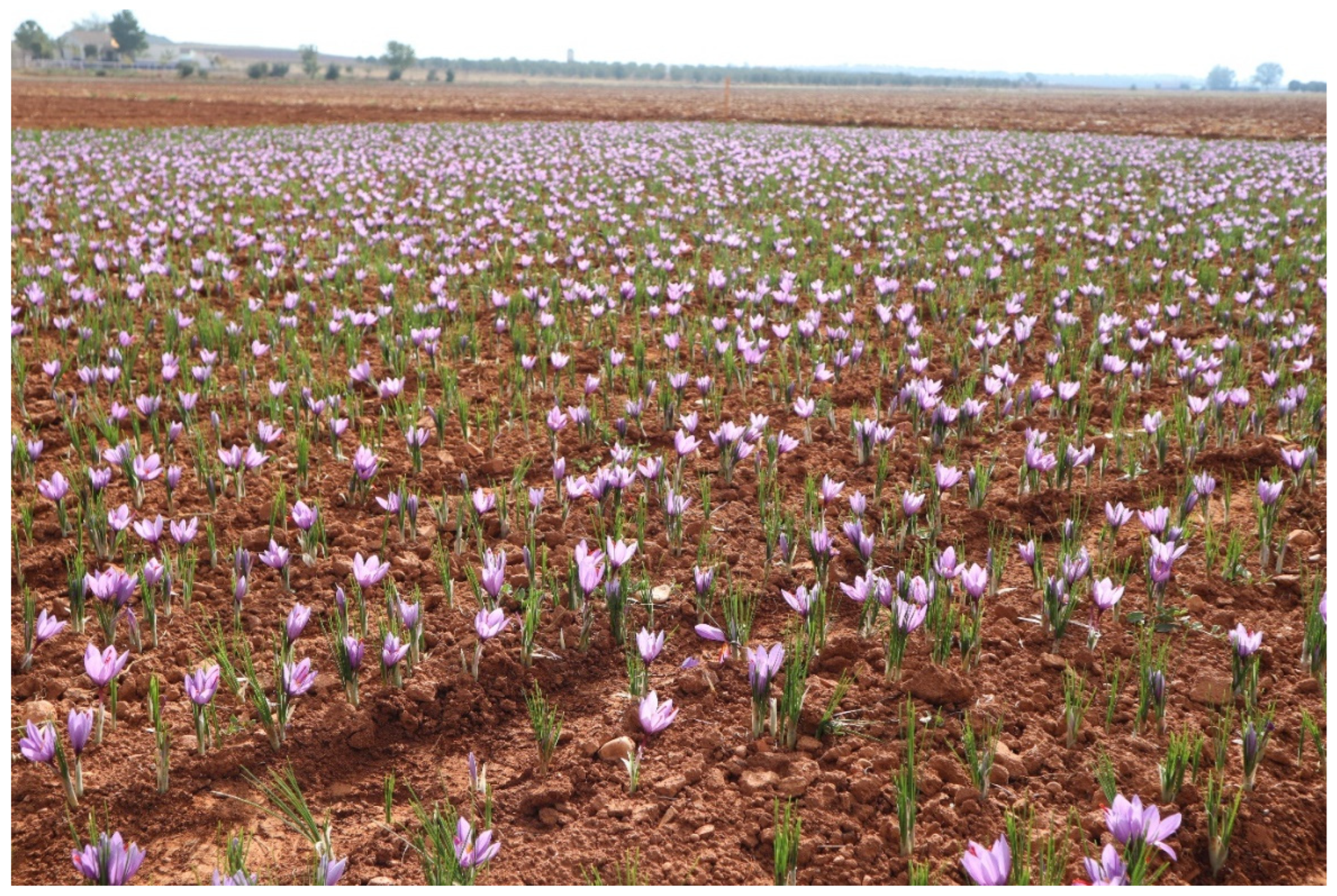 Heritage 06 00129 g004