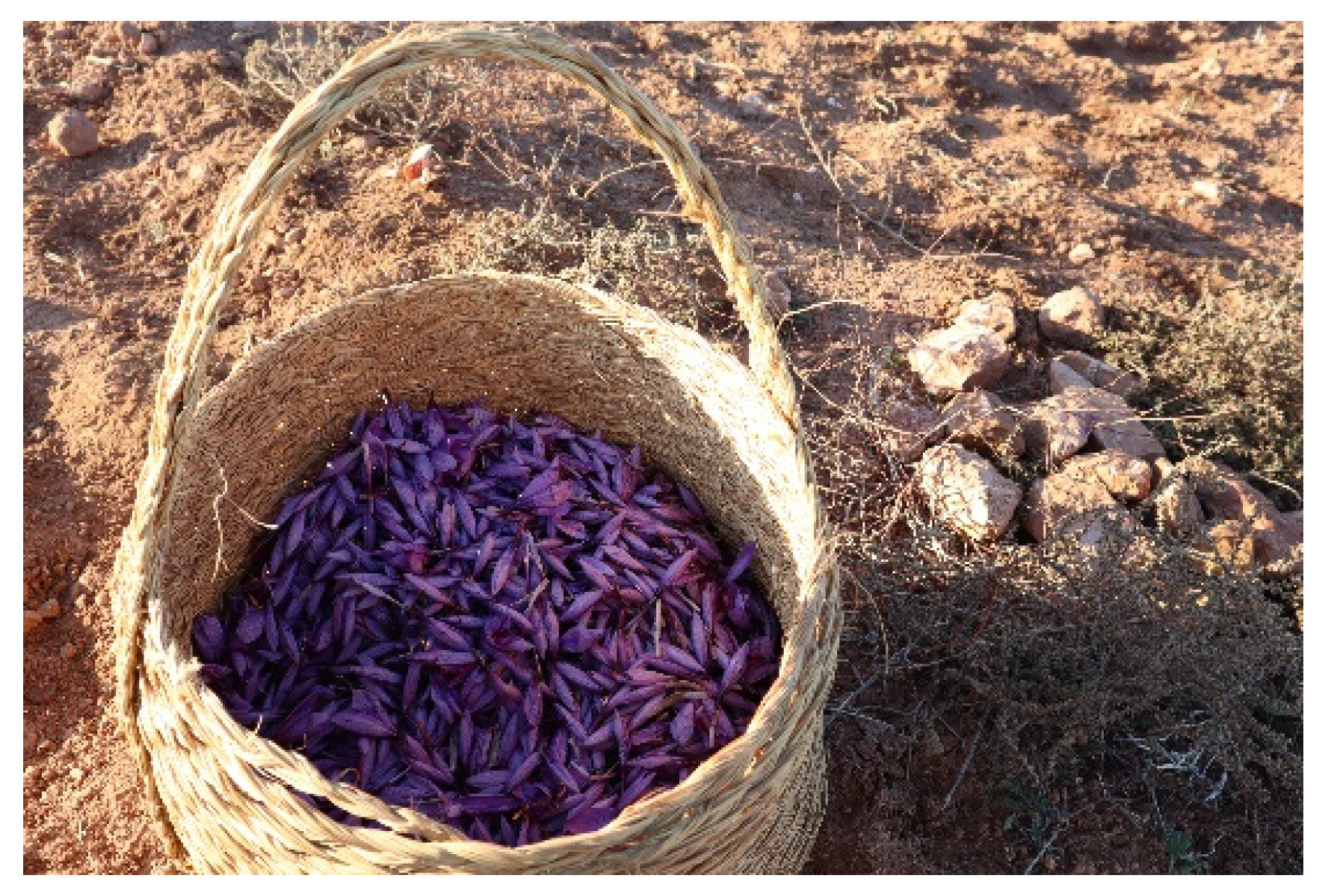 Heritage 06 00129 g006