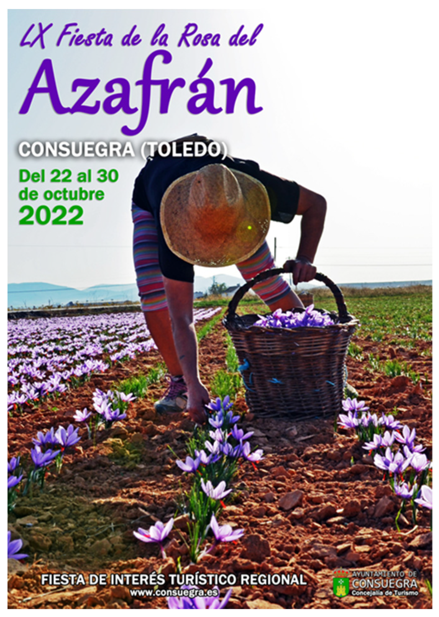 Heritage 06 00129 g012