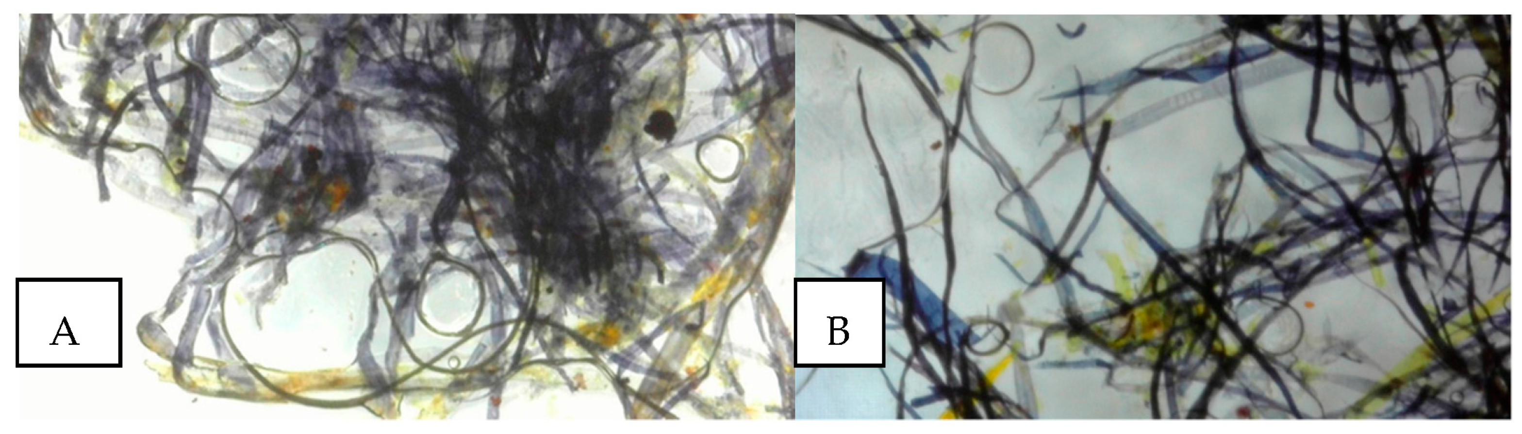 Heritage 06 00140 g006 550