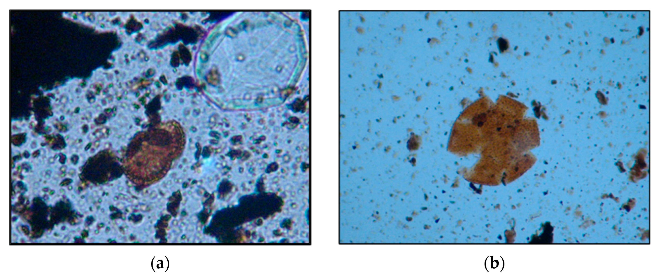 Heritage 06 00178 g007 Heritage 06 00178 g007