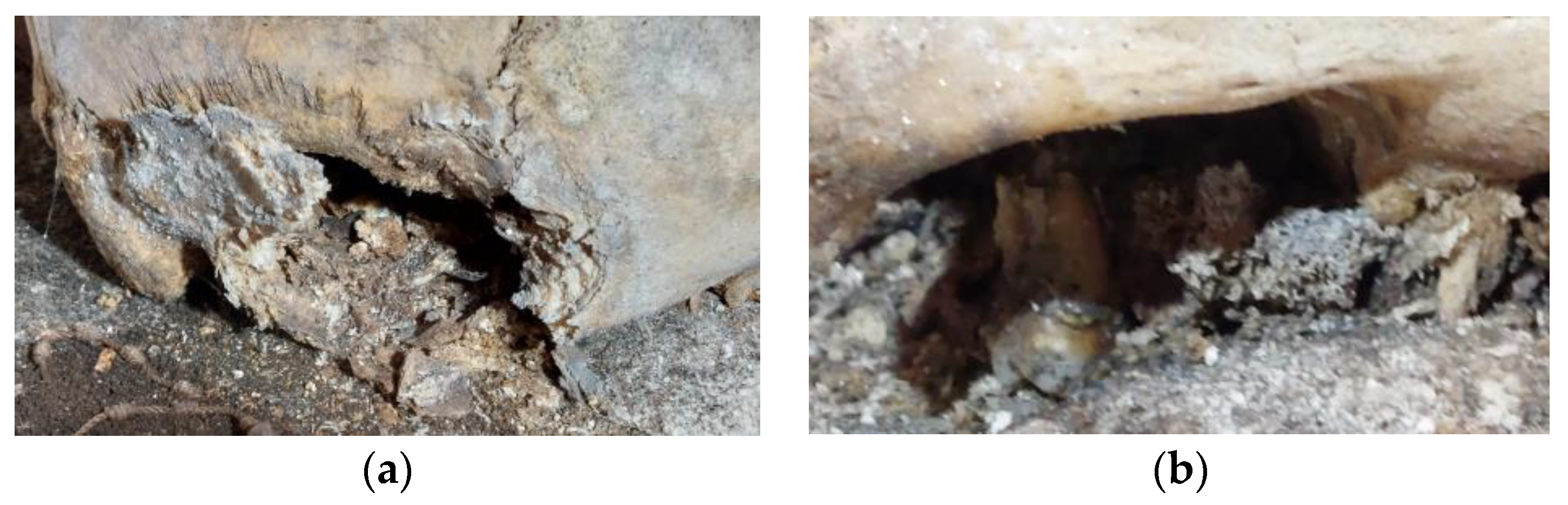 Heritage 06 00188 g009 Heritage 06 00188 g009