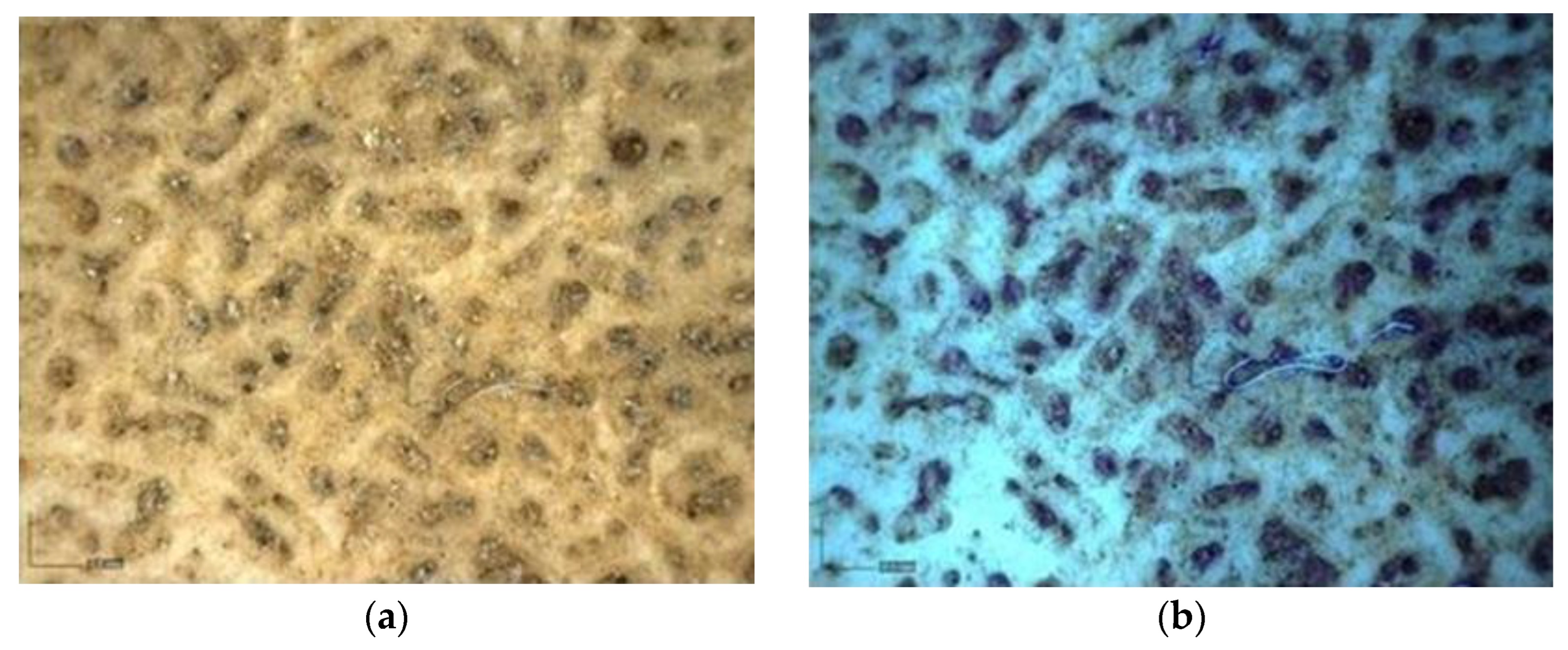 Heritage 06 00188 g017 Heritage 06 00188 g017