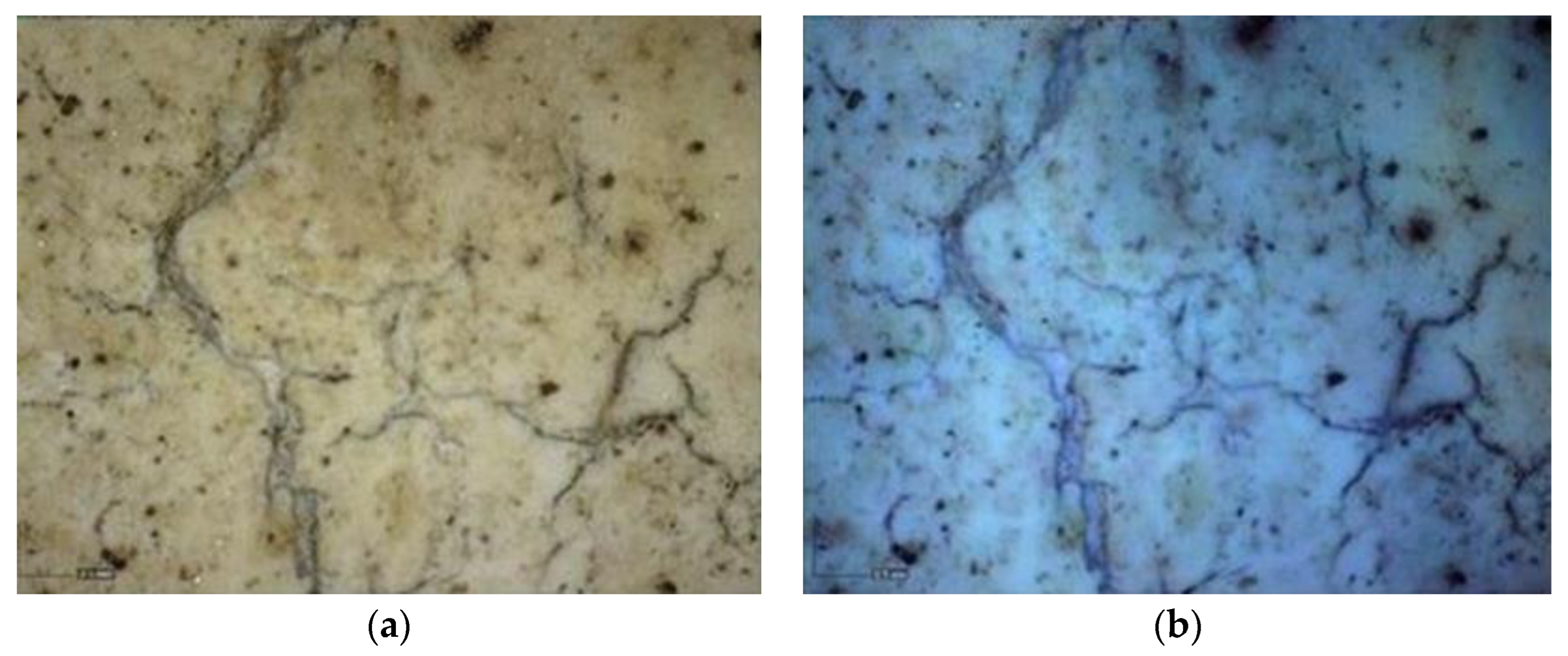 Heritage 06 00188 g018 Heritage 06 00188 g018